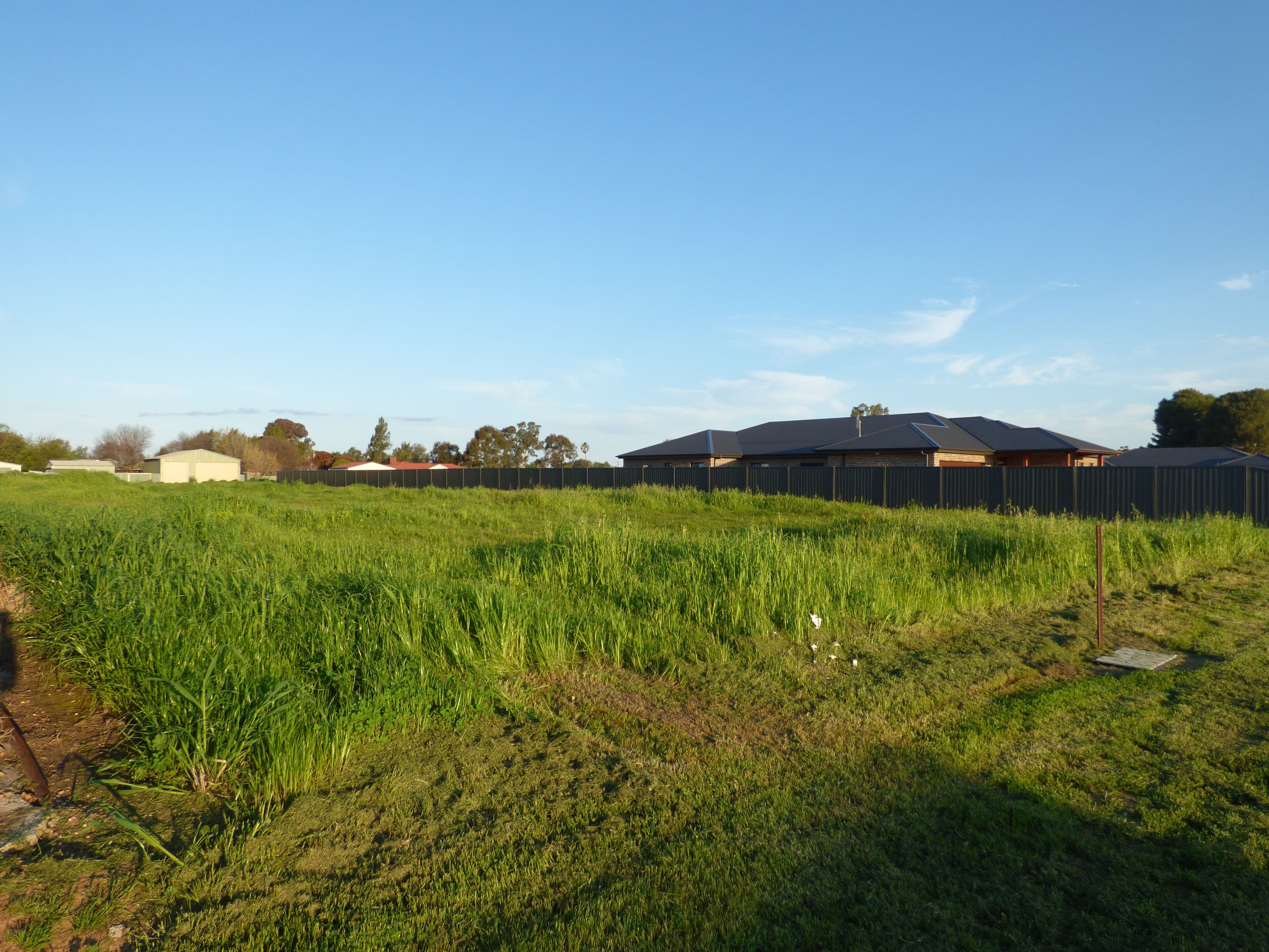 55 York Street, Forbes NSW 2871, Forbes - Thumbnail 6
