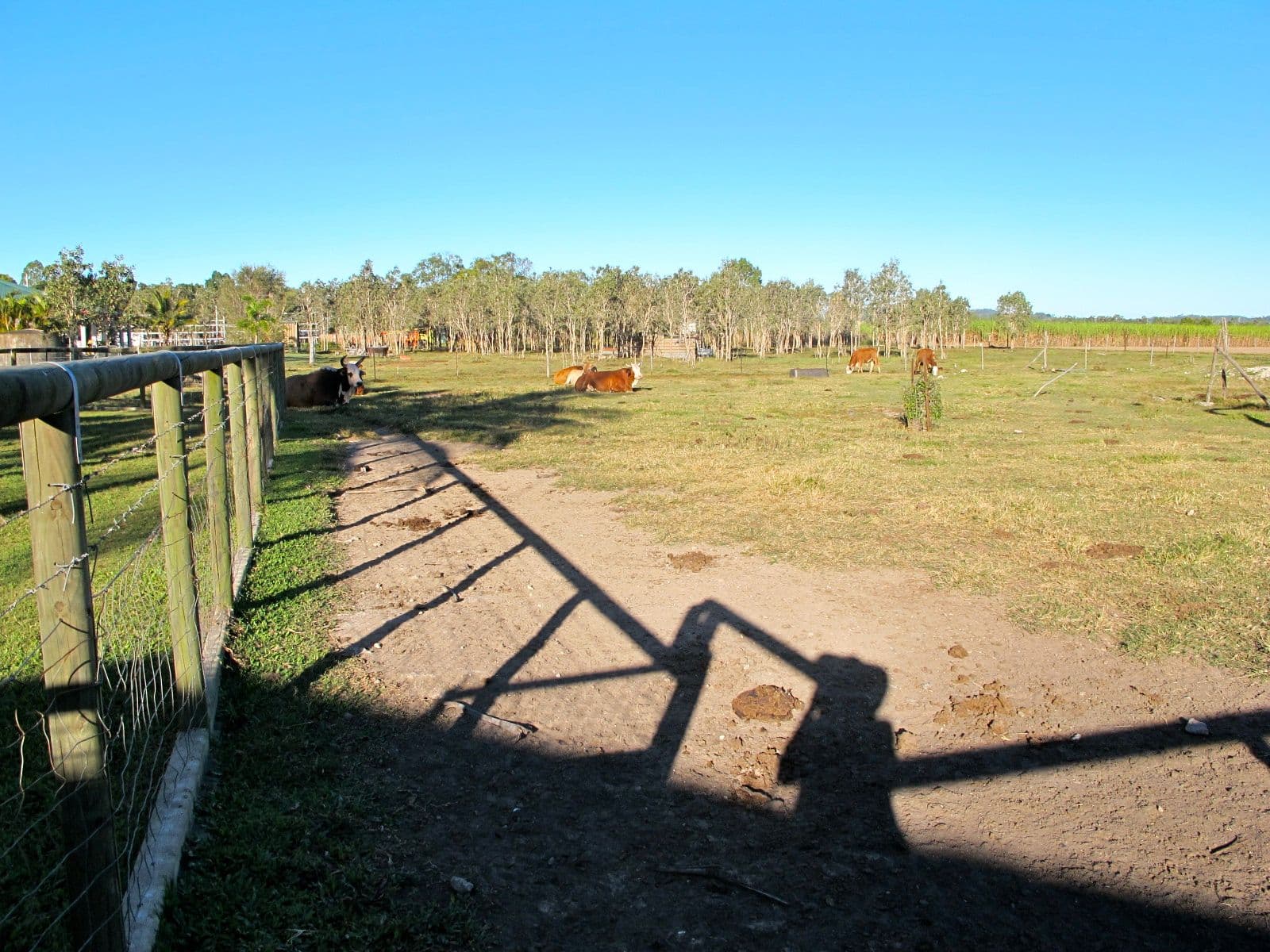 9 Lowanna Avenue, Balberra QLD 4740, Balberra - Thumbnail 2