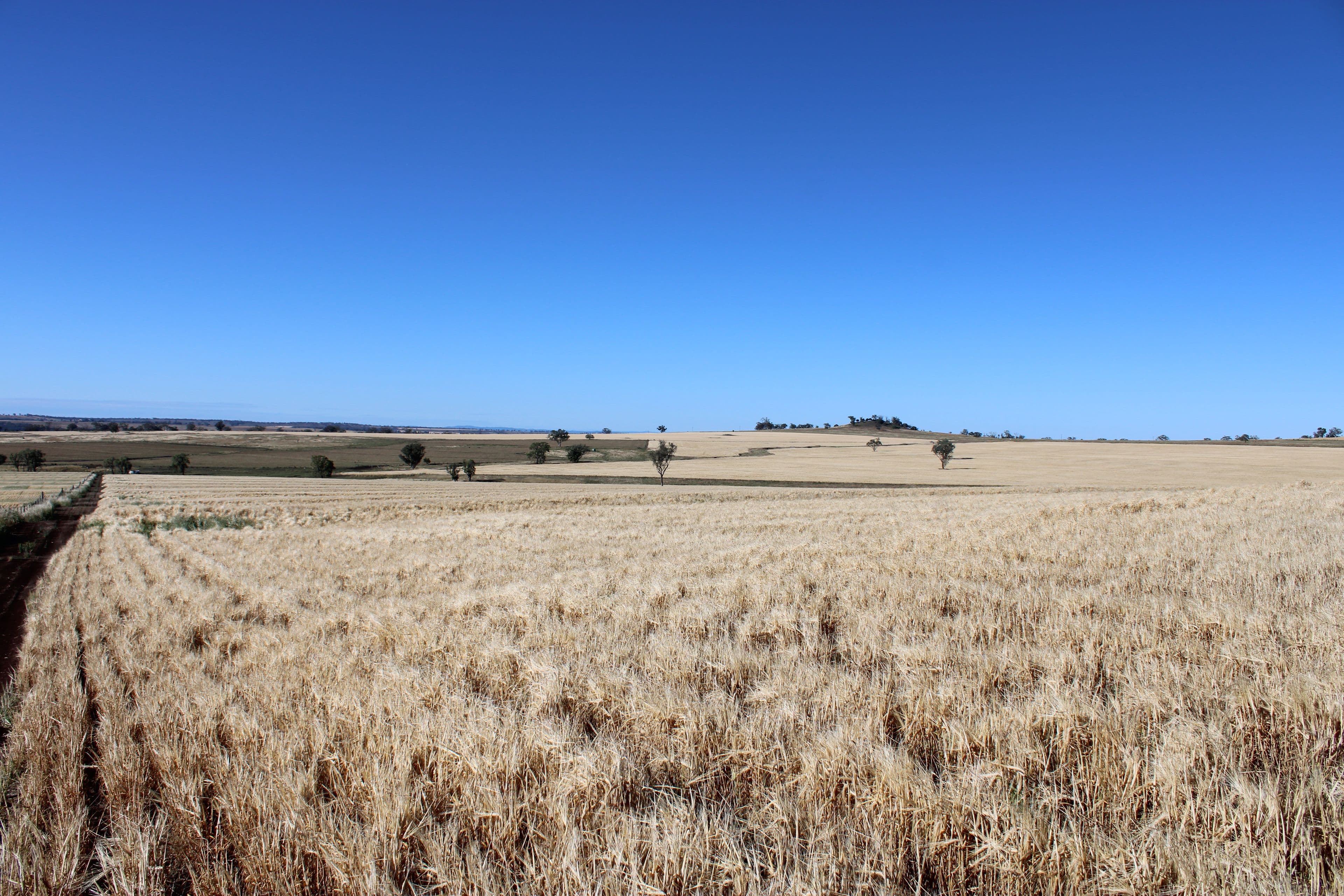 Lot 1 Glenesk Road, Inverell NSW 2360, Inverell - Thumbnail 2