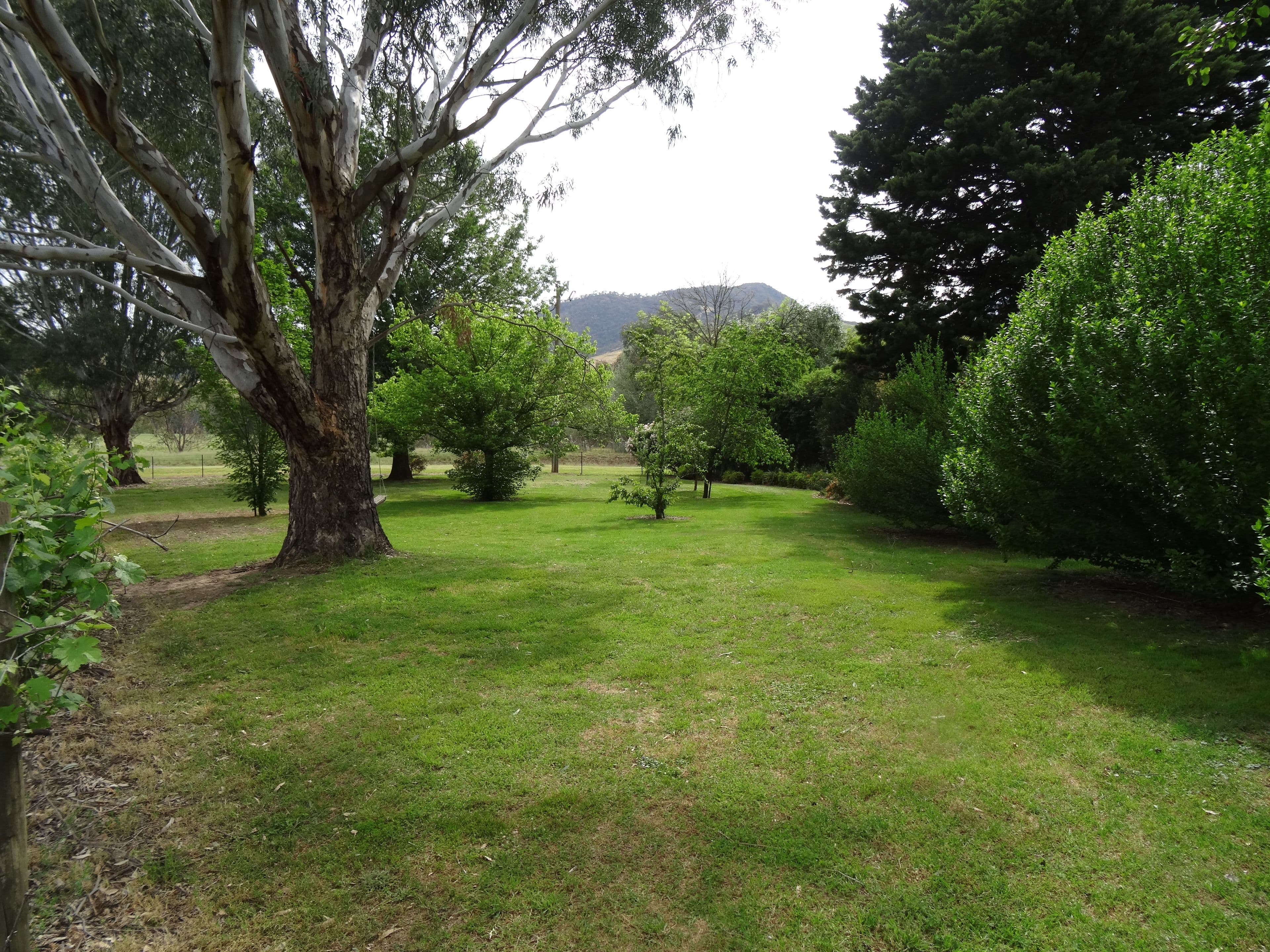 8792 Murray River Road, Walwa VIC 3709, Walwa - Thumbnail 5