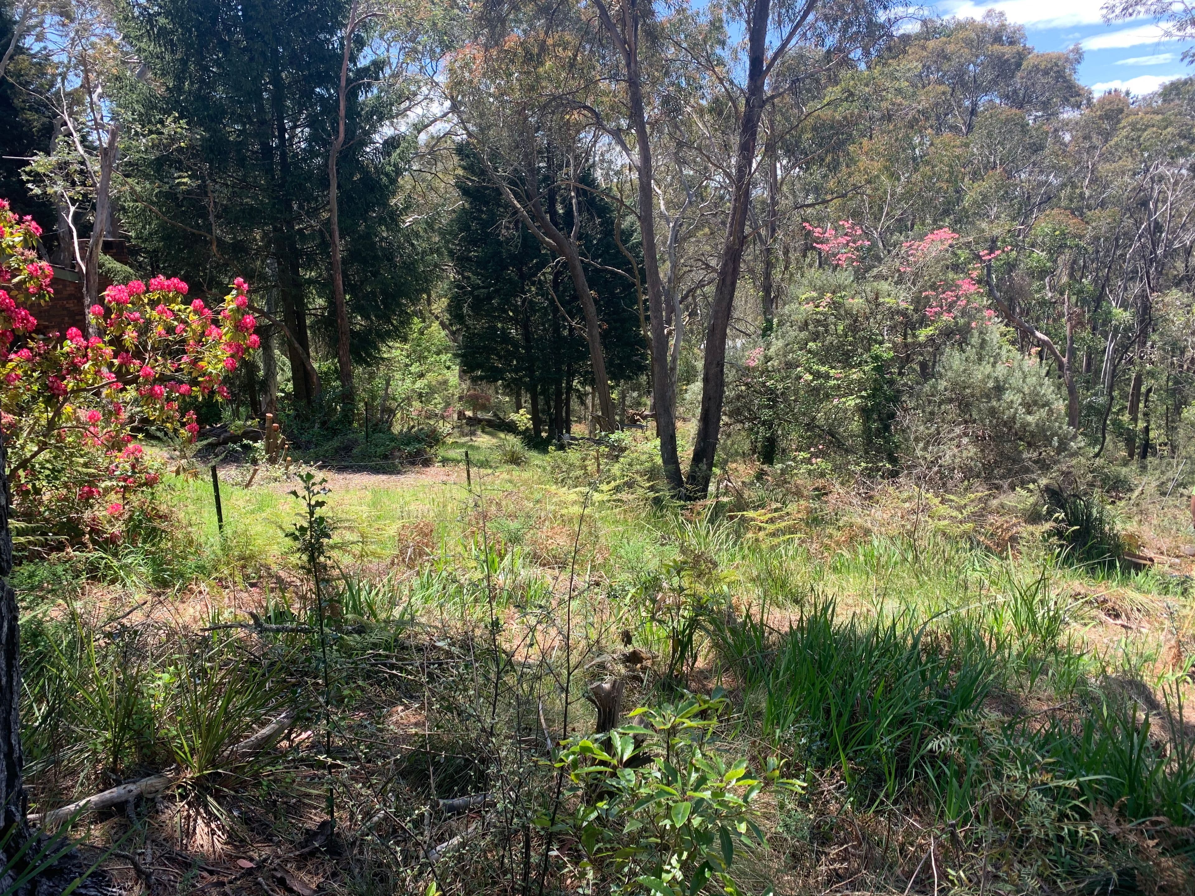 76 Railway Parade, Medlow Bath NSW 2780, Medlow Bath - Image 1