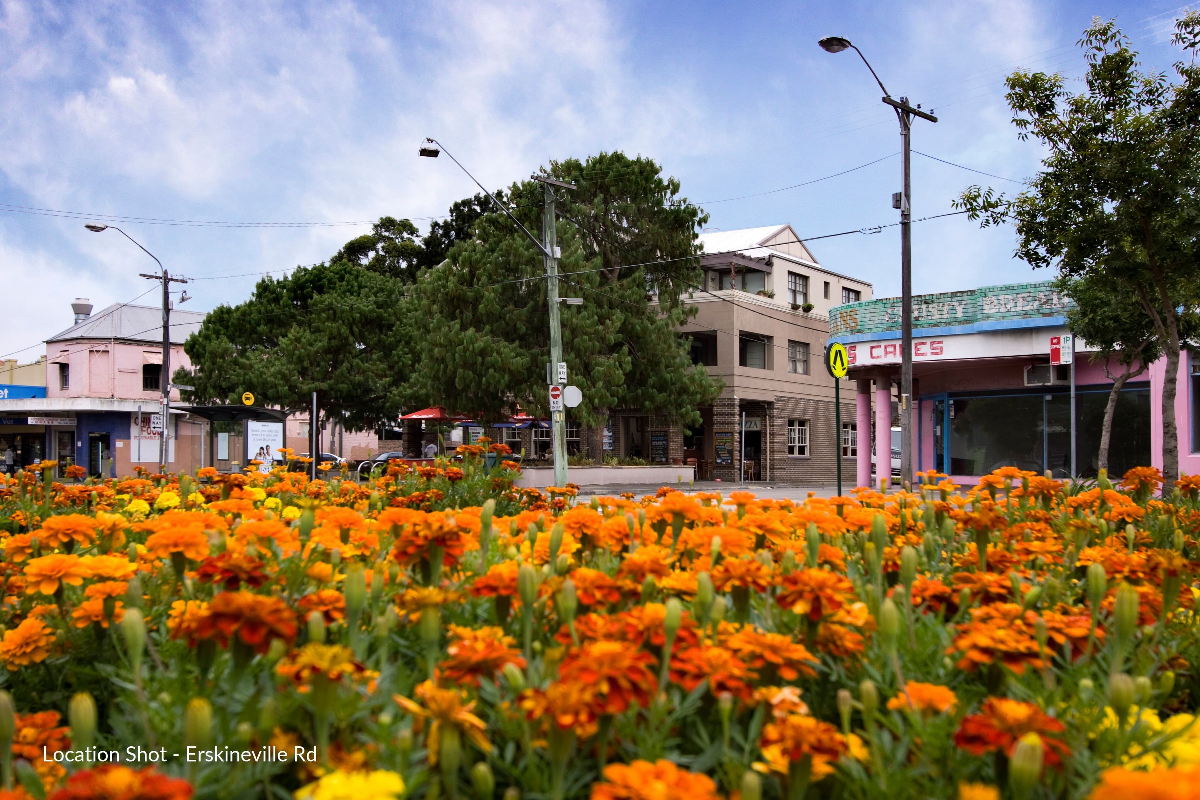 13 Septimus Street, Erskineville NSW 2043, Erskineville - Thumbnail 4