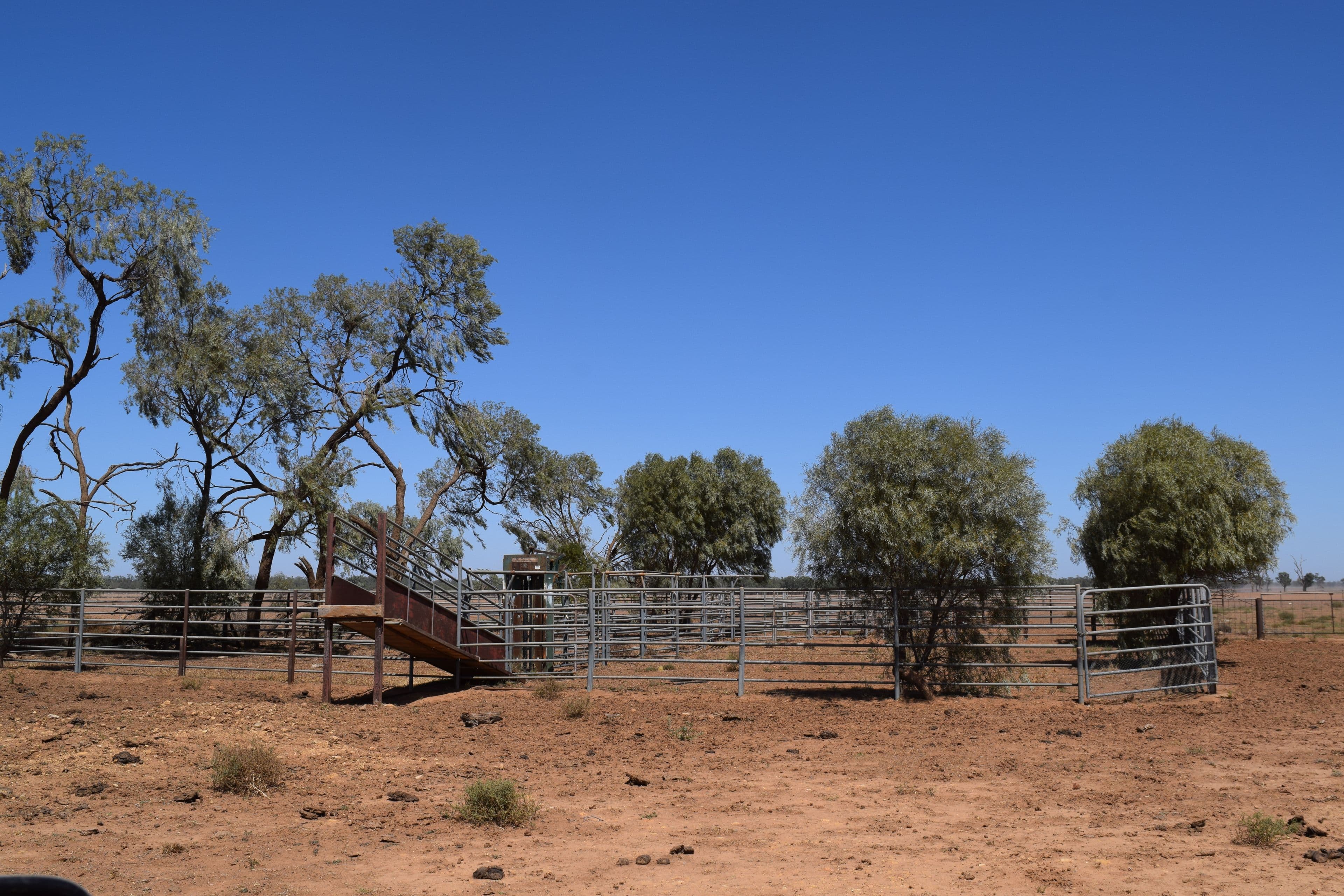 Part Gloming Bedgerebong Road, Forbes NSW 2871, Forbes - Image 1