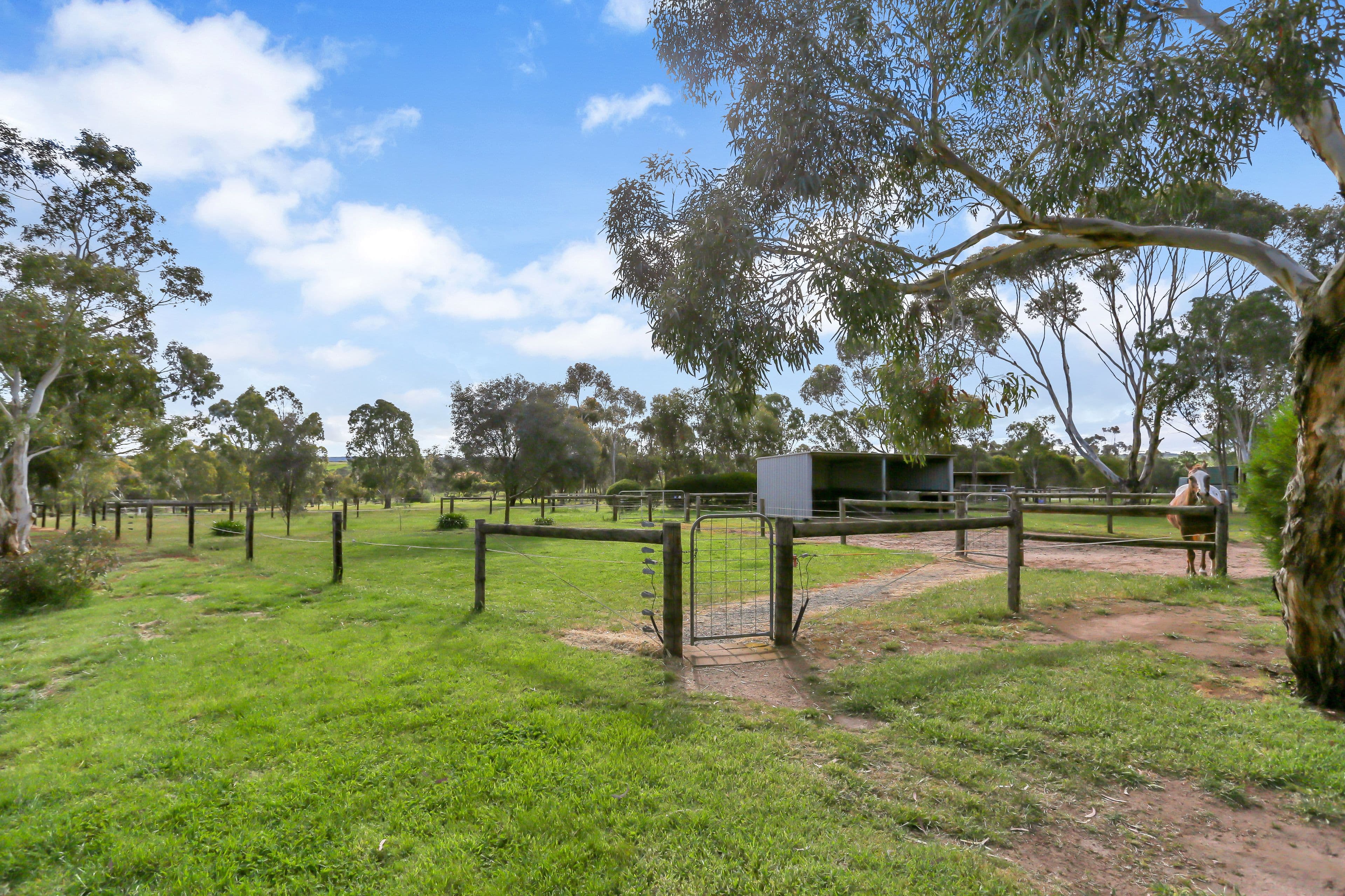 20 Stirling Court, Strathalbyn SA 5255, Strathalbyn - Thumbnail 2