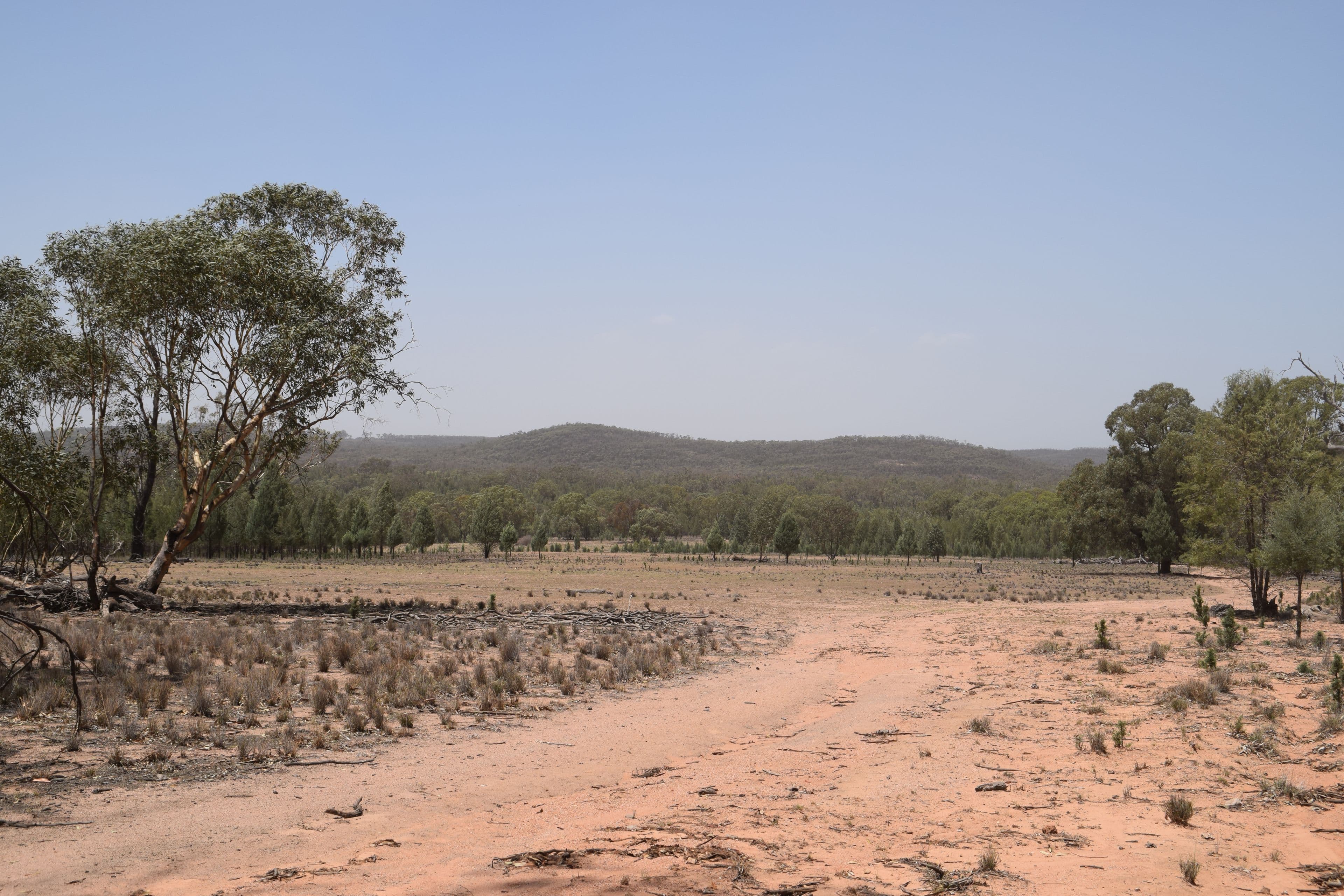 470 Dilladerry Road, Tomingley NSW 2869, Tomingley - Thumbnail 5