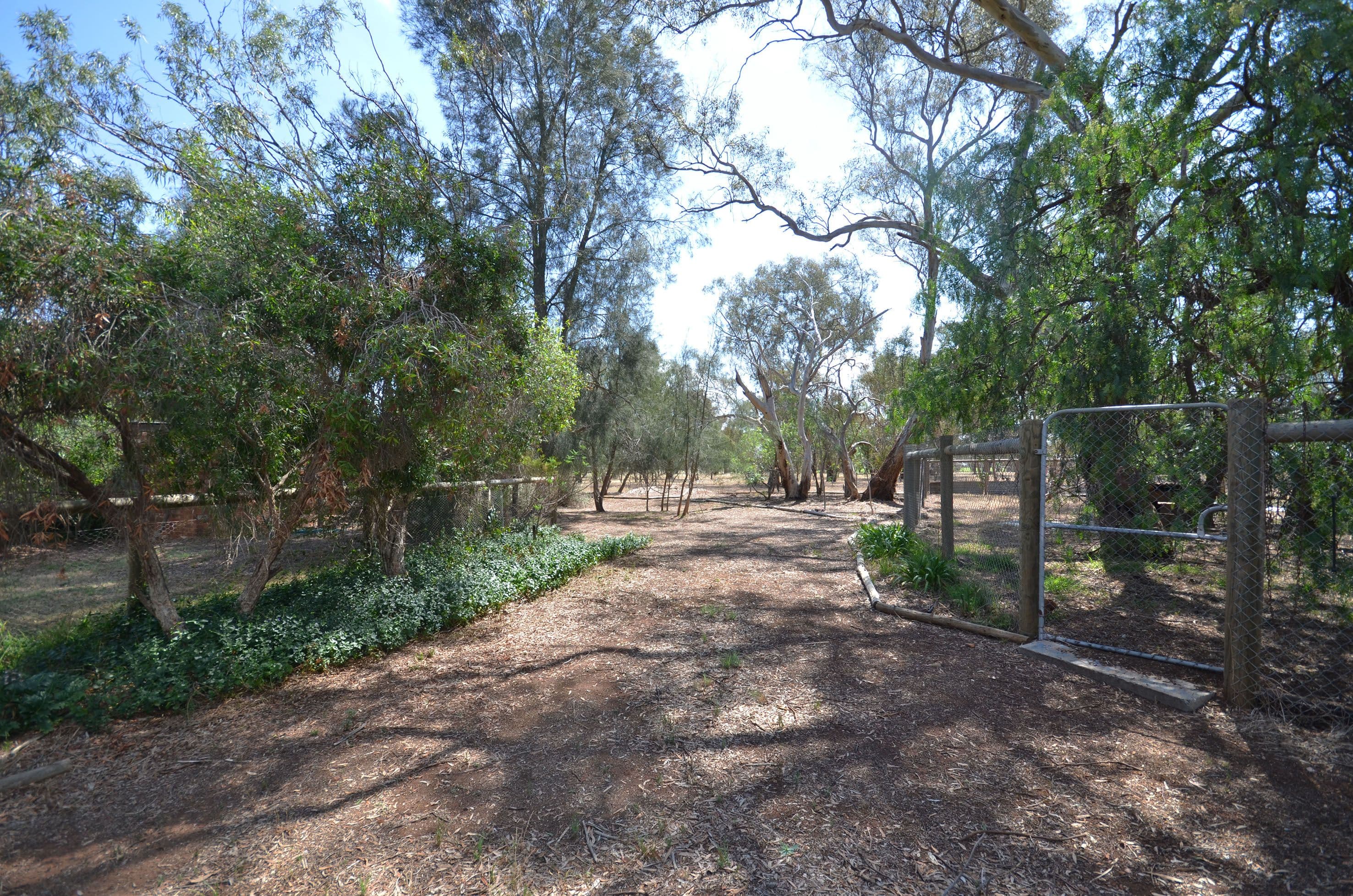 364 Jeffreys Road, Corop VIC 3559, Corop - Thumbnail 4