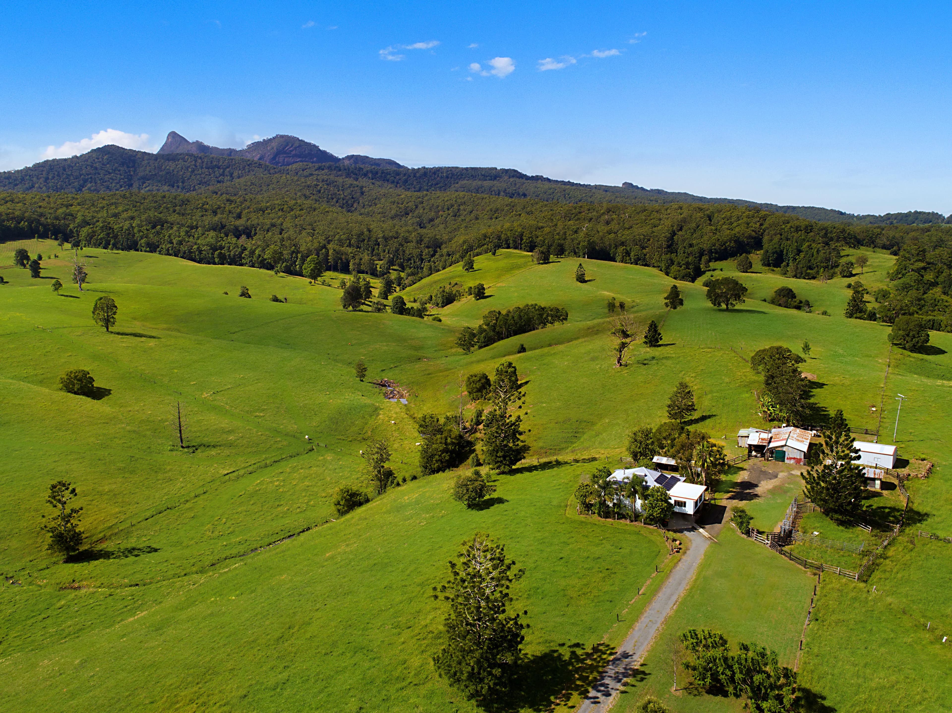 1563 Tyalgum Road, Tyalgum NSW 2484, Tyalgum - Thumbnail 5