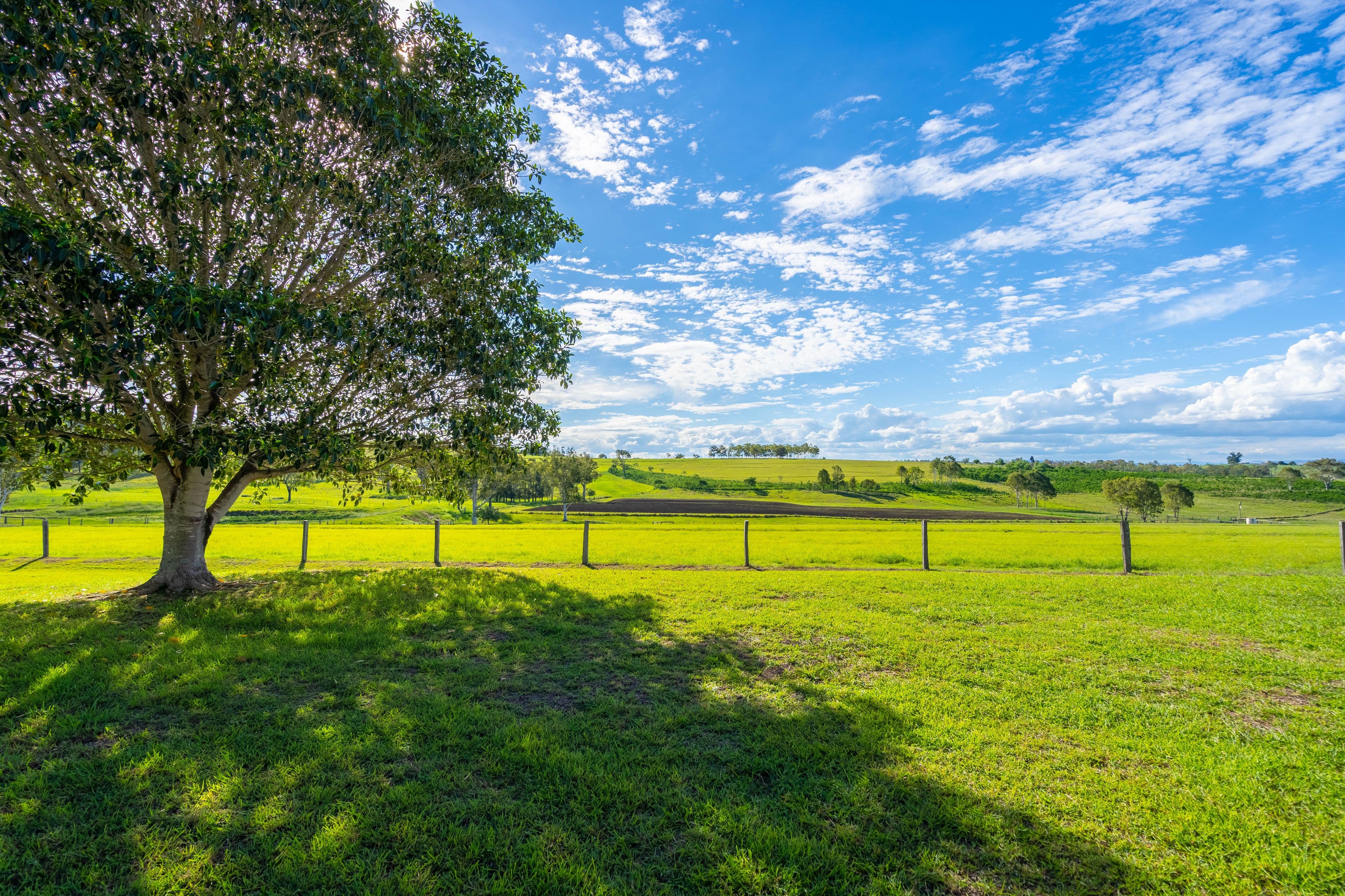 274 Kruger Road, Mutdapilly QLD 4307, Mutdapilly - Thumbnail 2