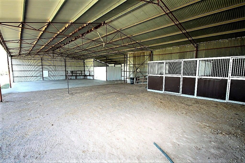 155 Paynes Road, Quirindi NSW 2343, Quirindi - Thumbnail 5