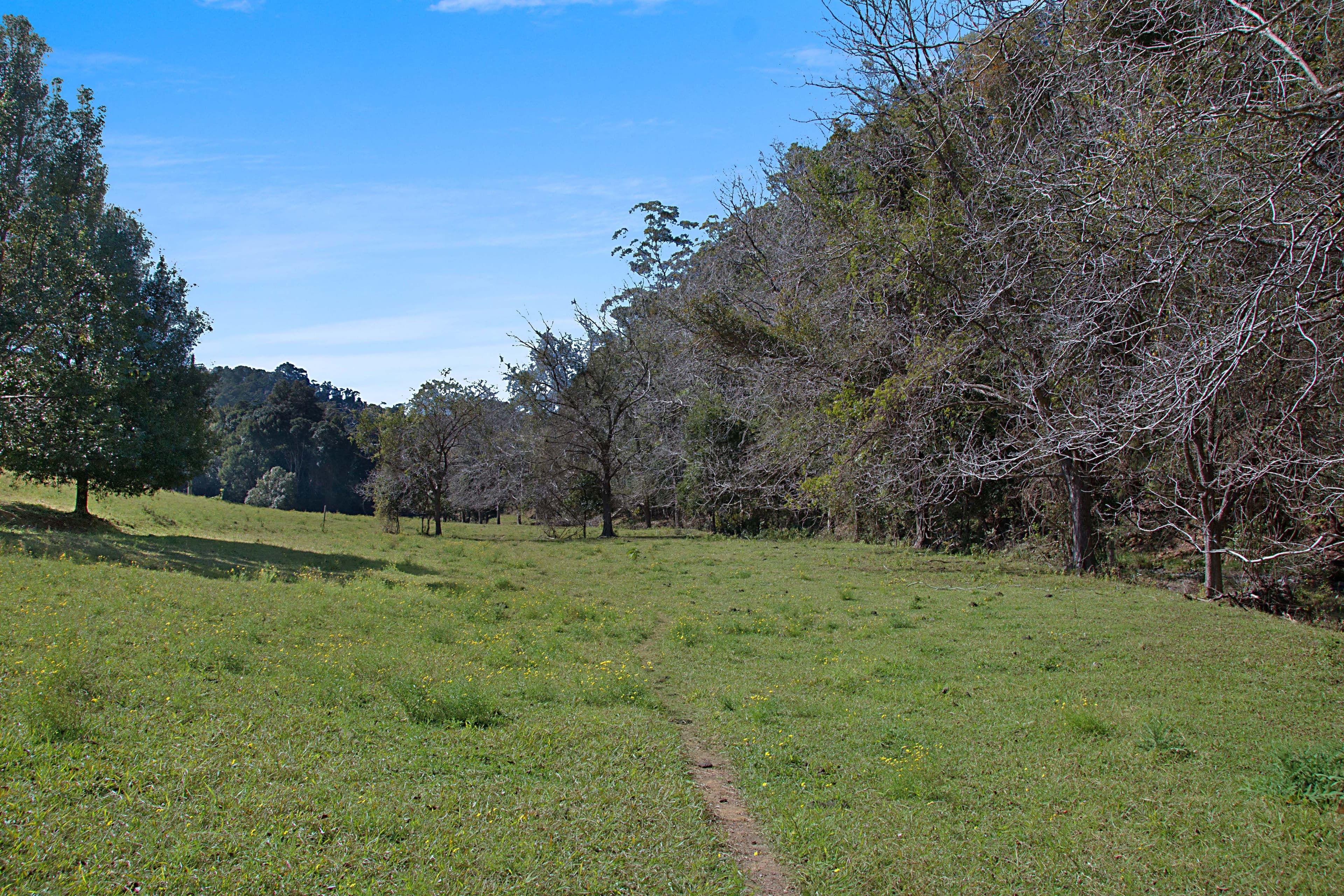 679 Urliup Road, Urliup NSW 2484, Urliup - Thumbnail 2