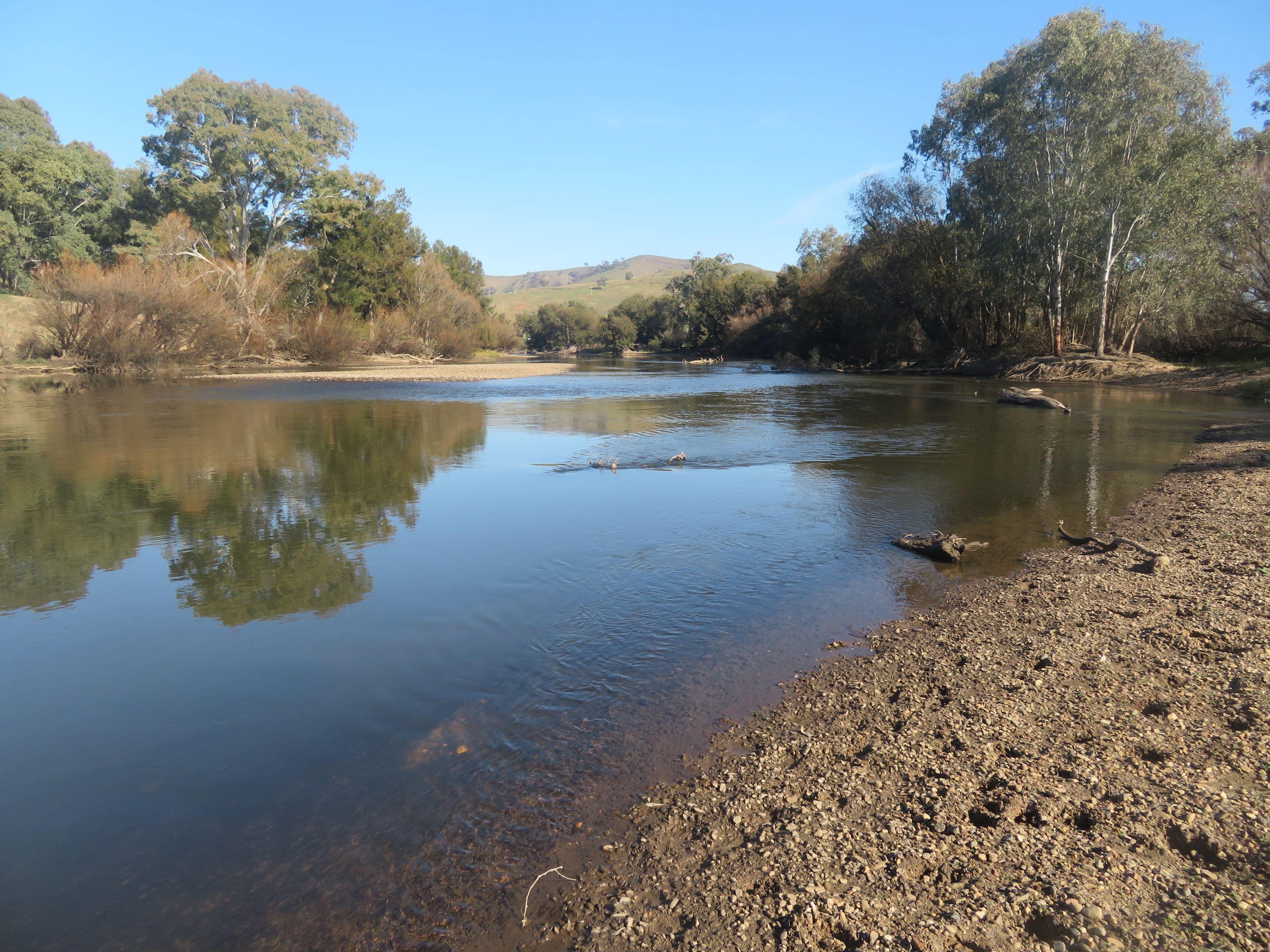 Gundagai NSW 2722, Gundagai - Thumbnail 3