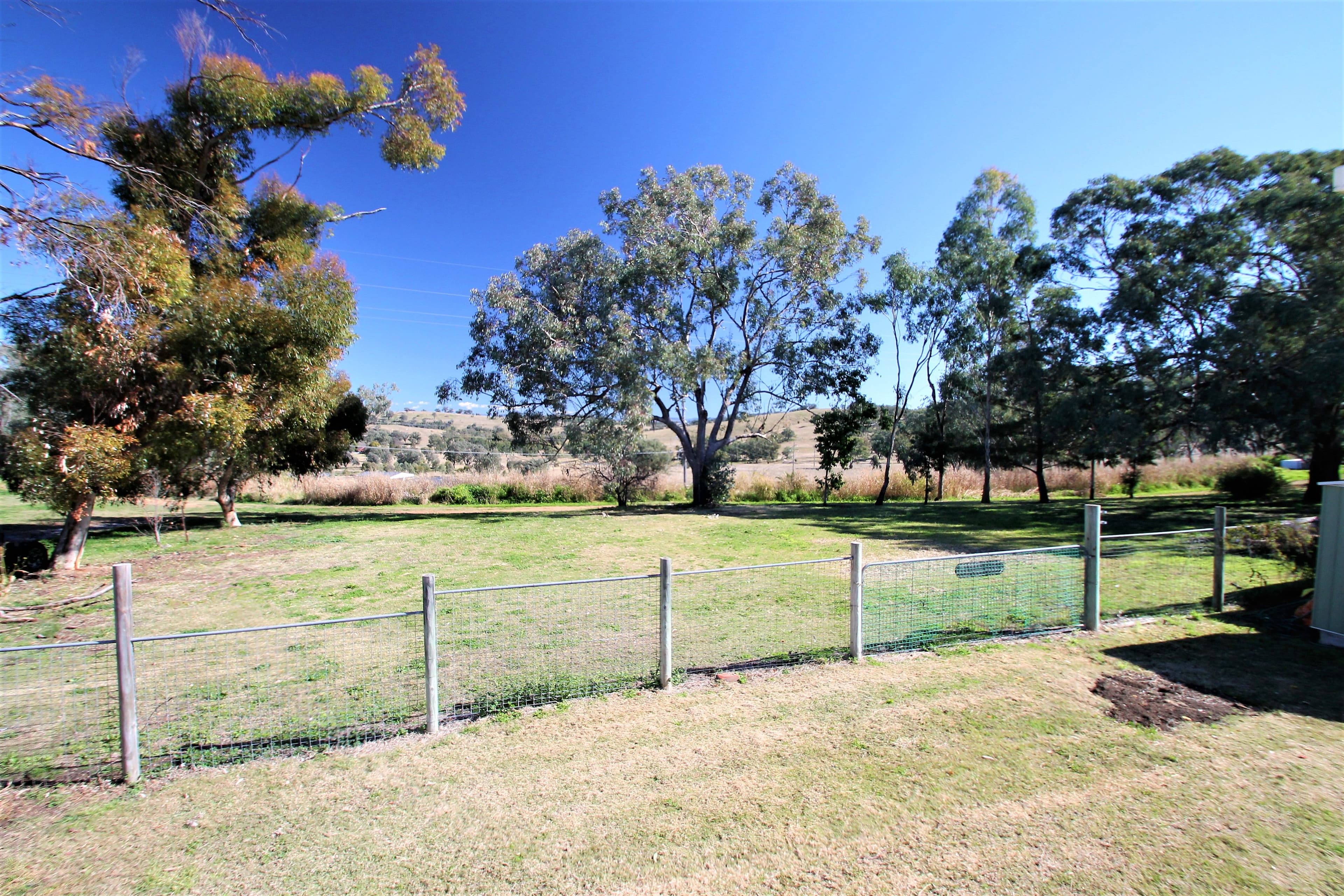 40 Nowland Avenue, Quirindi NSW 2343, Quirindi - Thumbnail 3