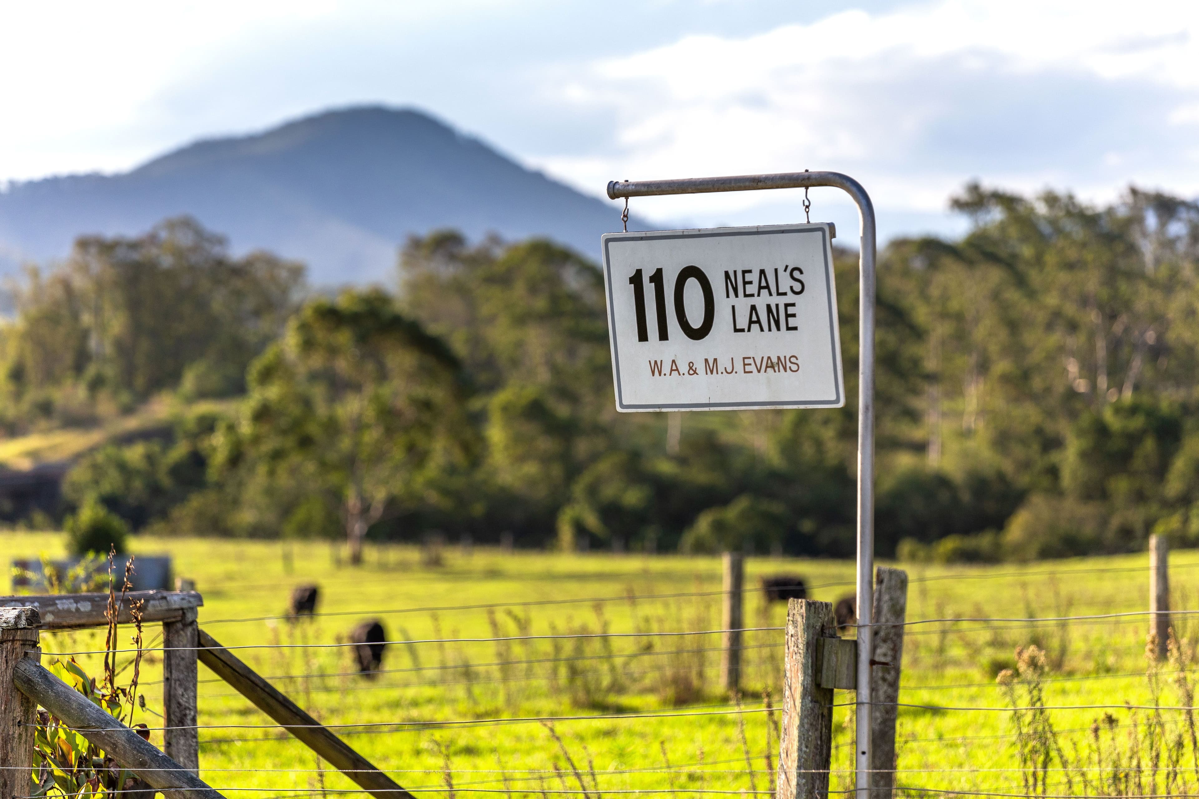 110 Neals Lane, Taree NSW 2430, Taree - Thumbnail 3