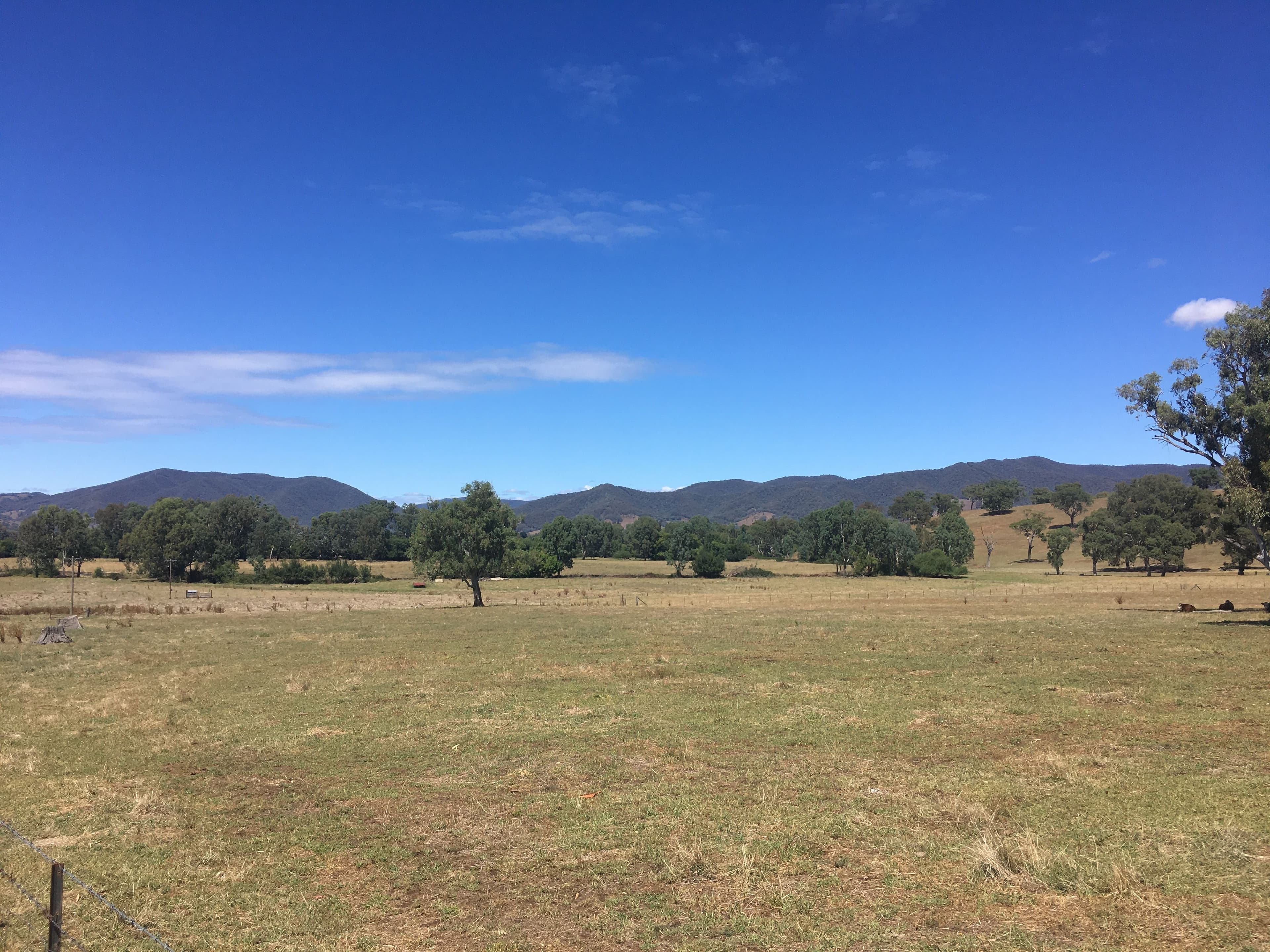 Wannawong 530 Lacmalac Road, Tumut NSW 2720, Tumut - Thumbnail 7