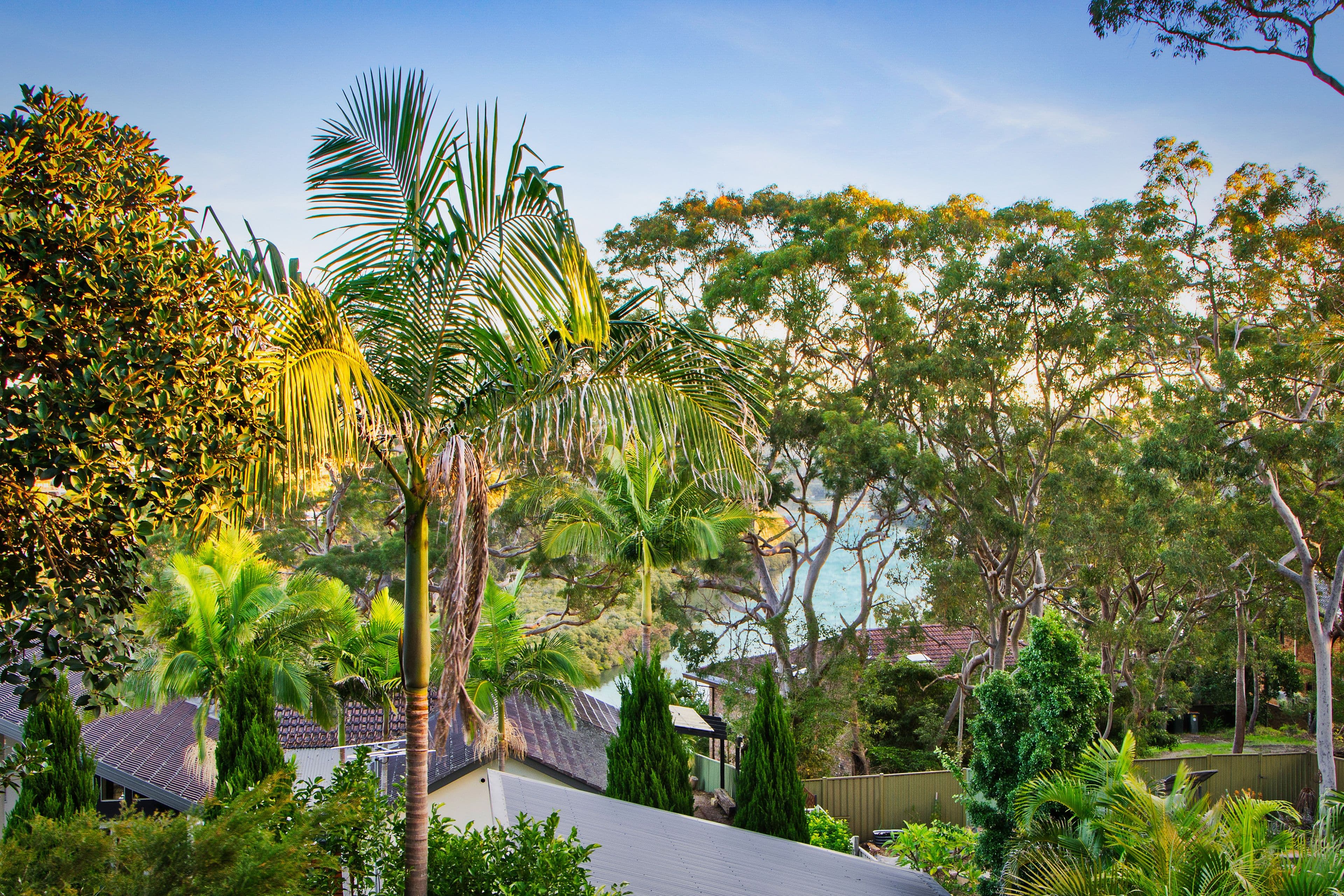 30 Bignell Street, Illawong NSW 2234, Illawong - Thumbnail 4