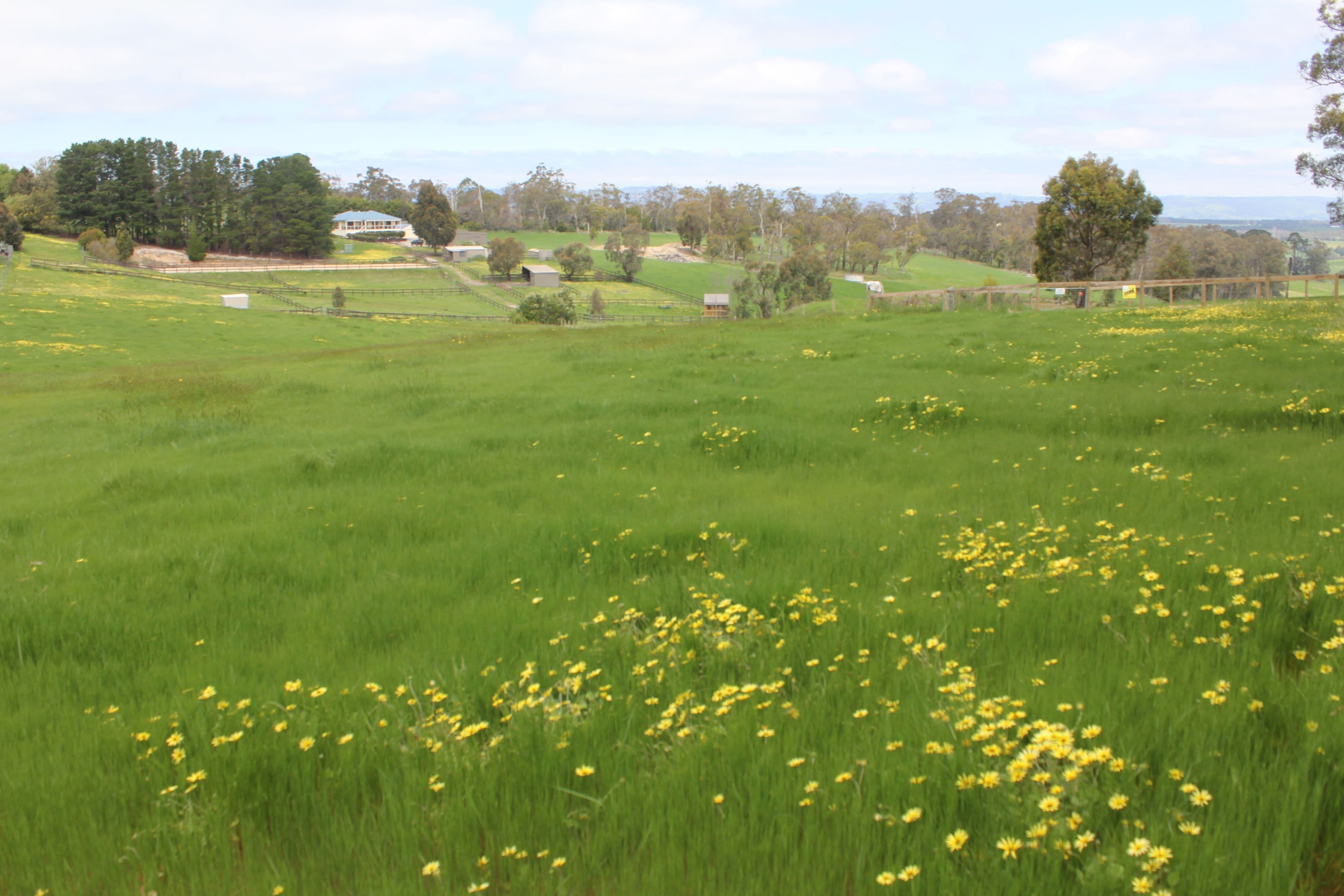 1612 Willow Grove Road, Willow Grove VIC 3825, Willow Grove - Thumbnail 6