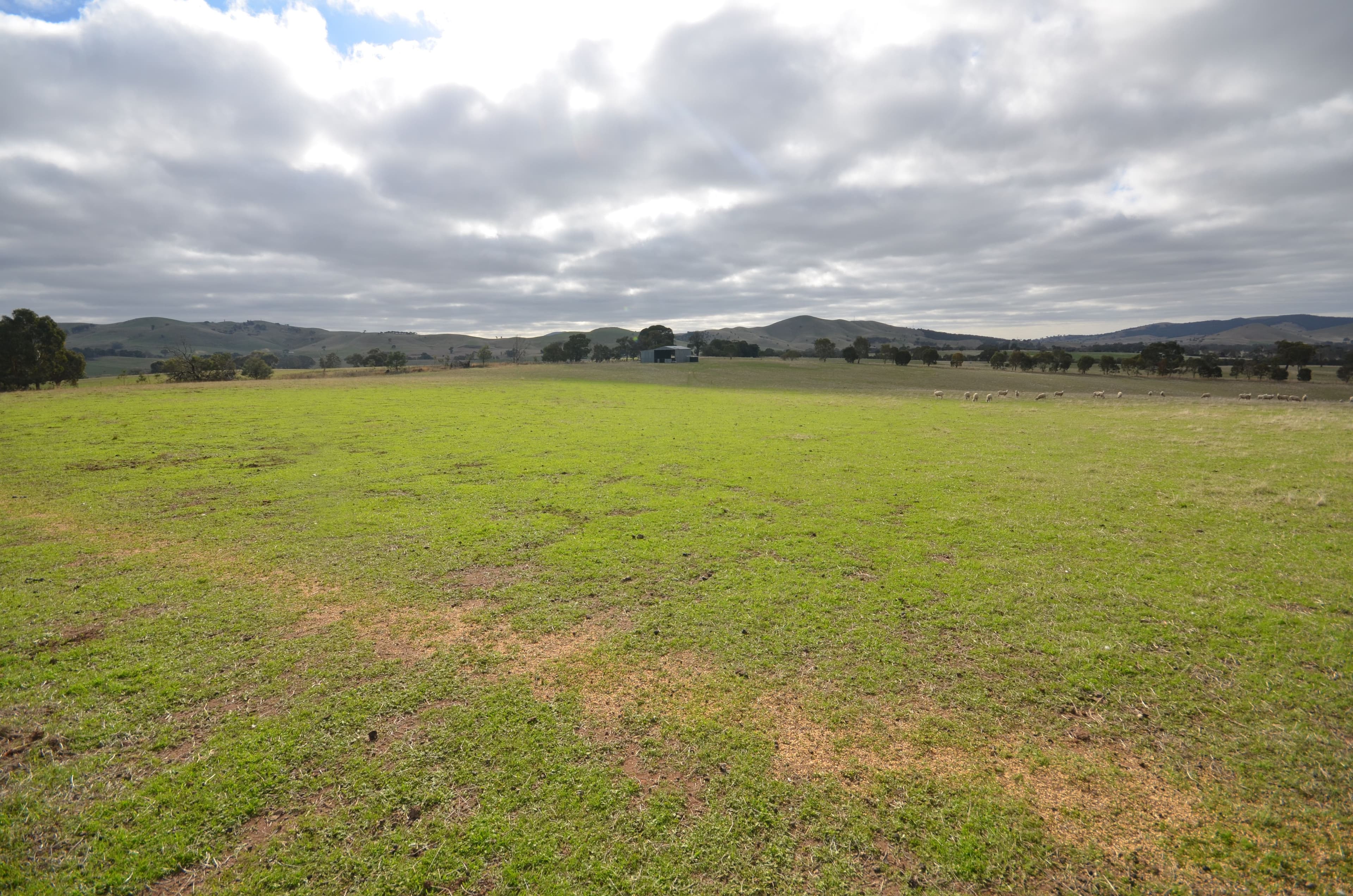 56 Mount Lonarch Road, Mount Lonarch VIC 3468, Mount Lonarch - Image 1