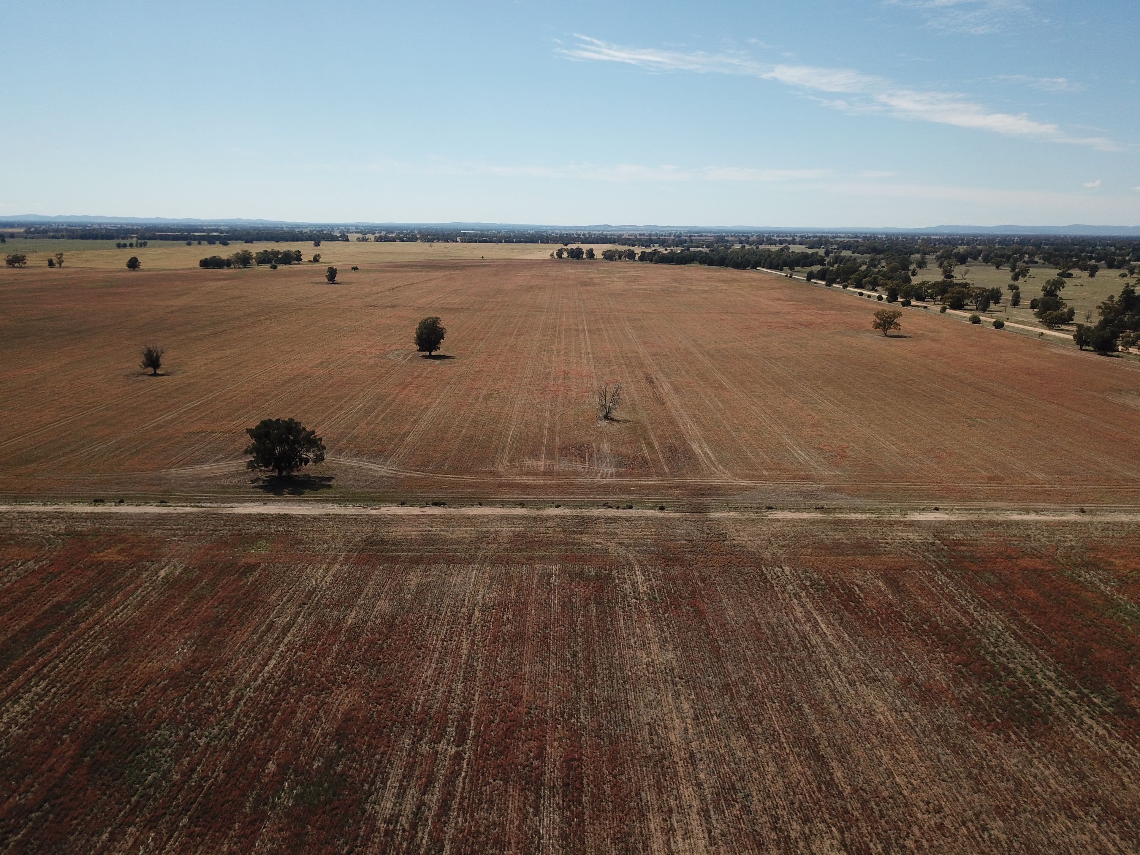 'Glengarry' Wyanga Road, Narromine NSW 2821, Narromine - Thumbnail 6