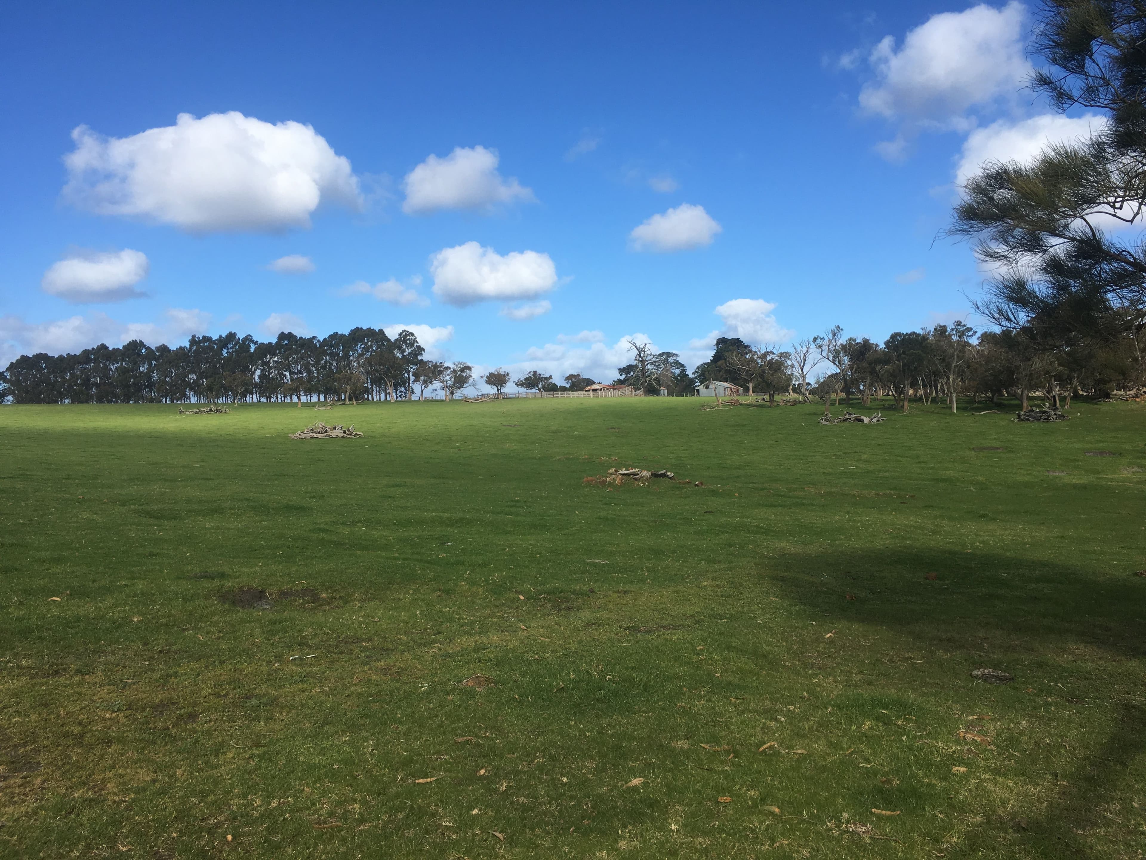 322 Lancaster Road, McKail WA 6330, McKail - Thumbnail 5