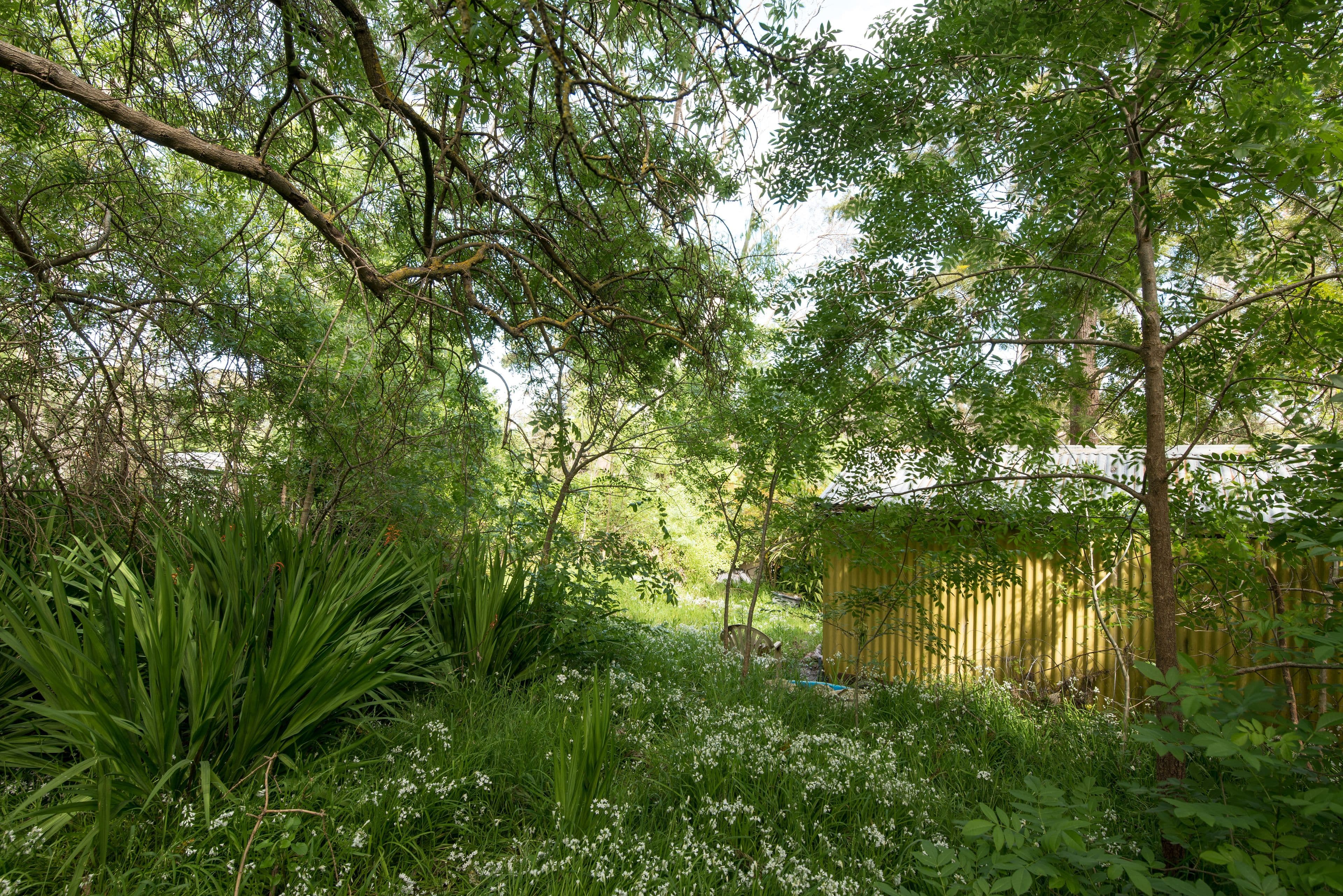 22 Mulga Road, Hawthorndene SA 5051, Hawthorndene - Thumbnail 7