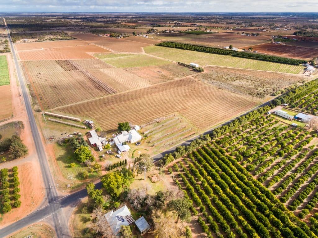 608 Paschendale Avenue, Merbein West VIC 3505, Merbein West - Thumbnail 4