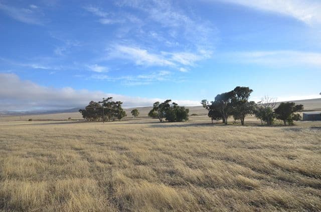 "Kilto" Old Belcunda Road, Mount Bryan SA 5418, Mount Bryan - Thumbnail 2