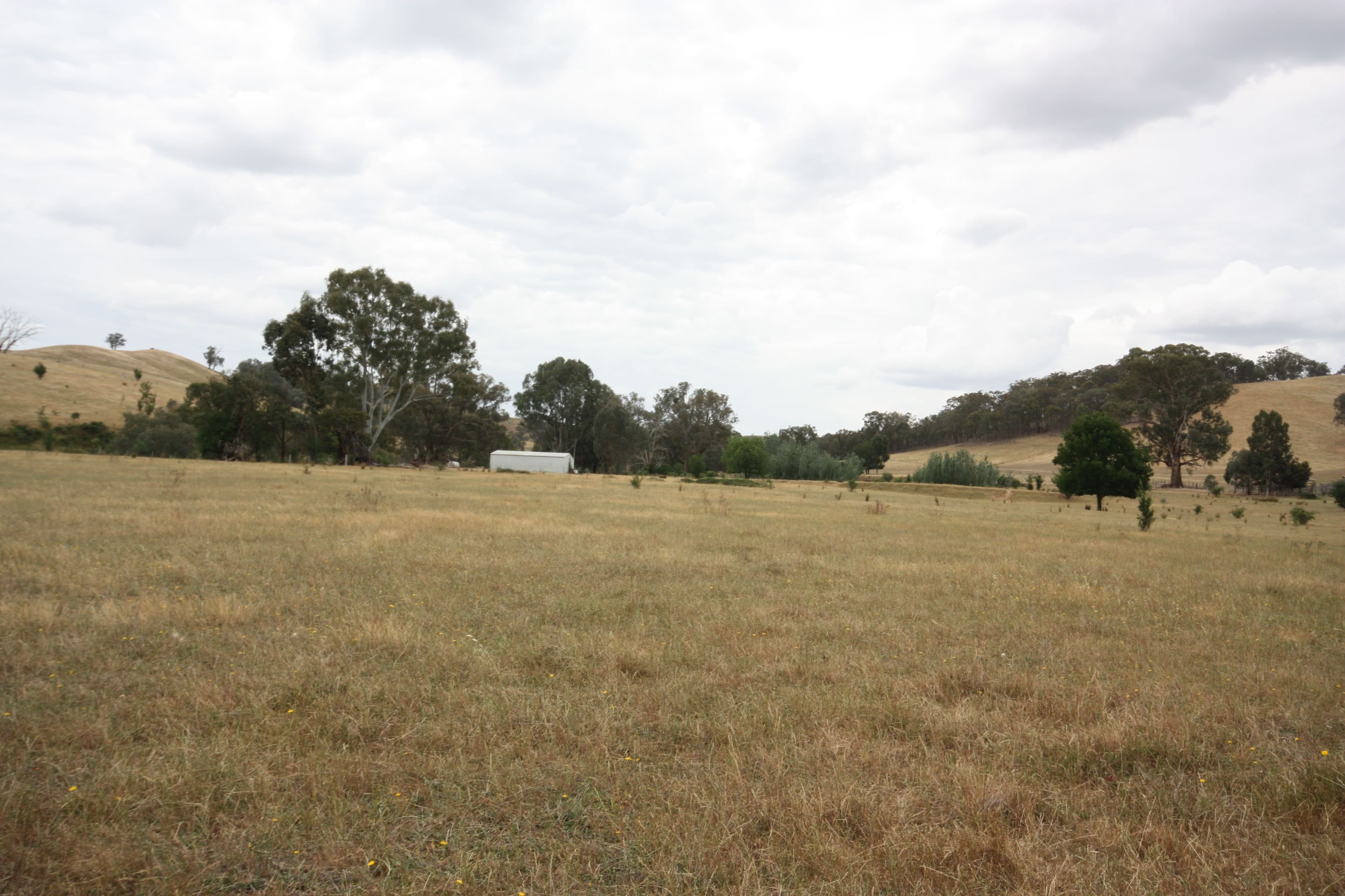 1805 Kilfeera Road, Molyullah VIC 3673, Molyullah - Thumbnail 4