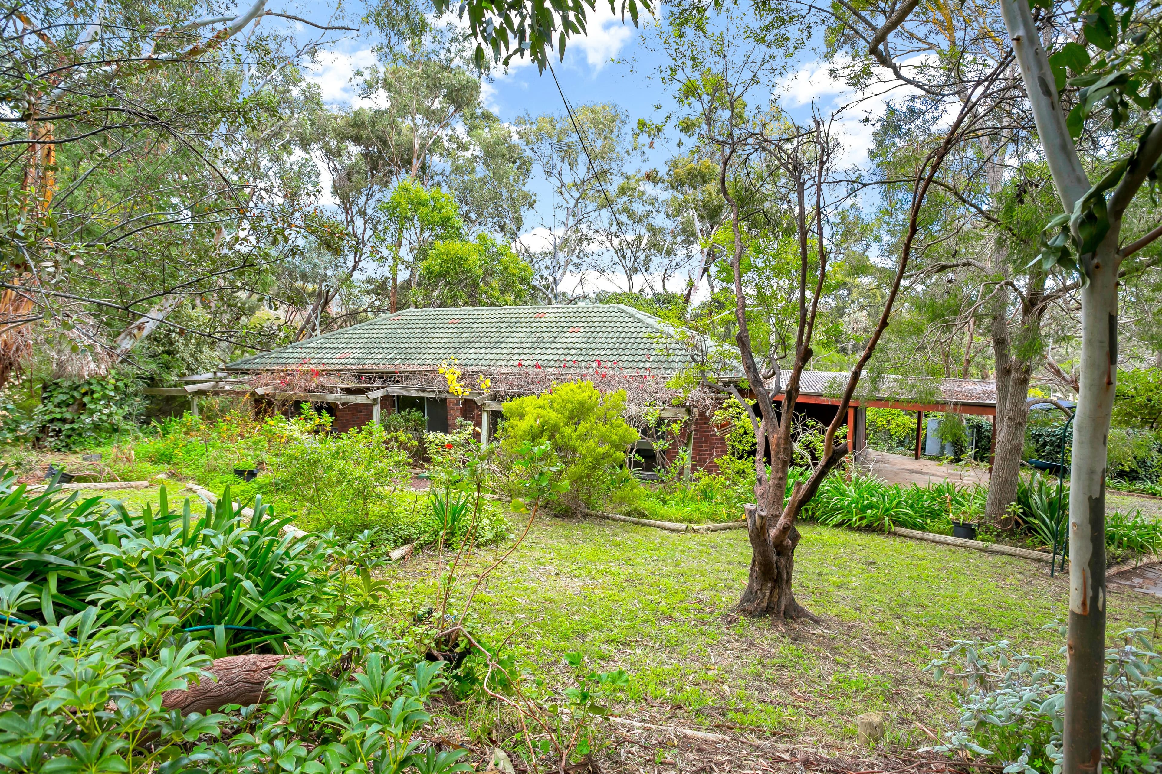 24 Hurds Hill Drive, Coromandel Valley SA 5051, Coromandel Valley - Image 1