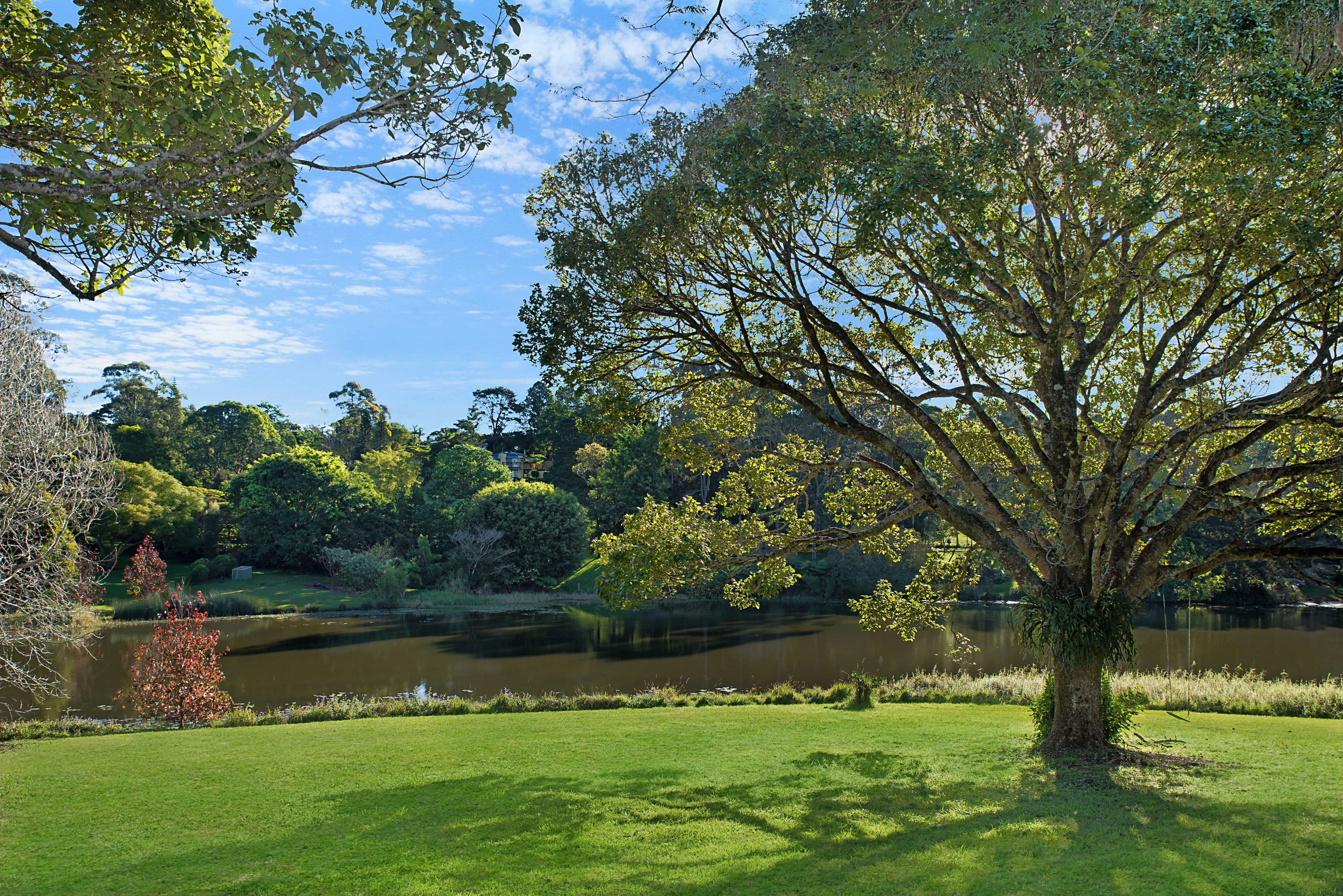 368 Mountain View Road, Maleny QLD 4552, Maleny - Image 1