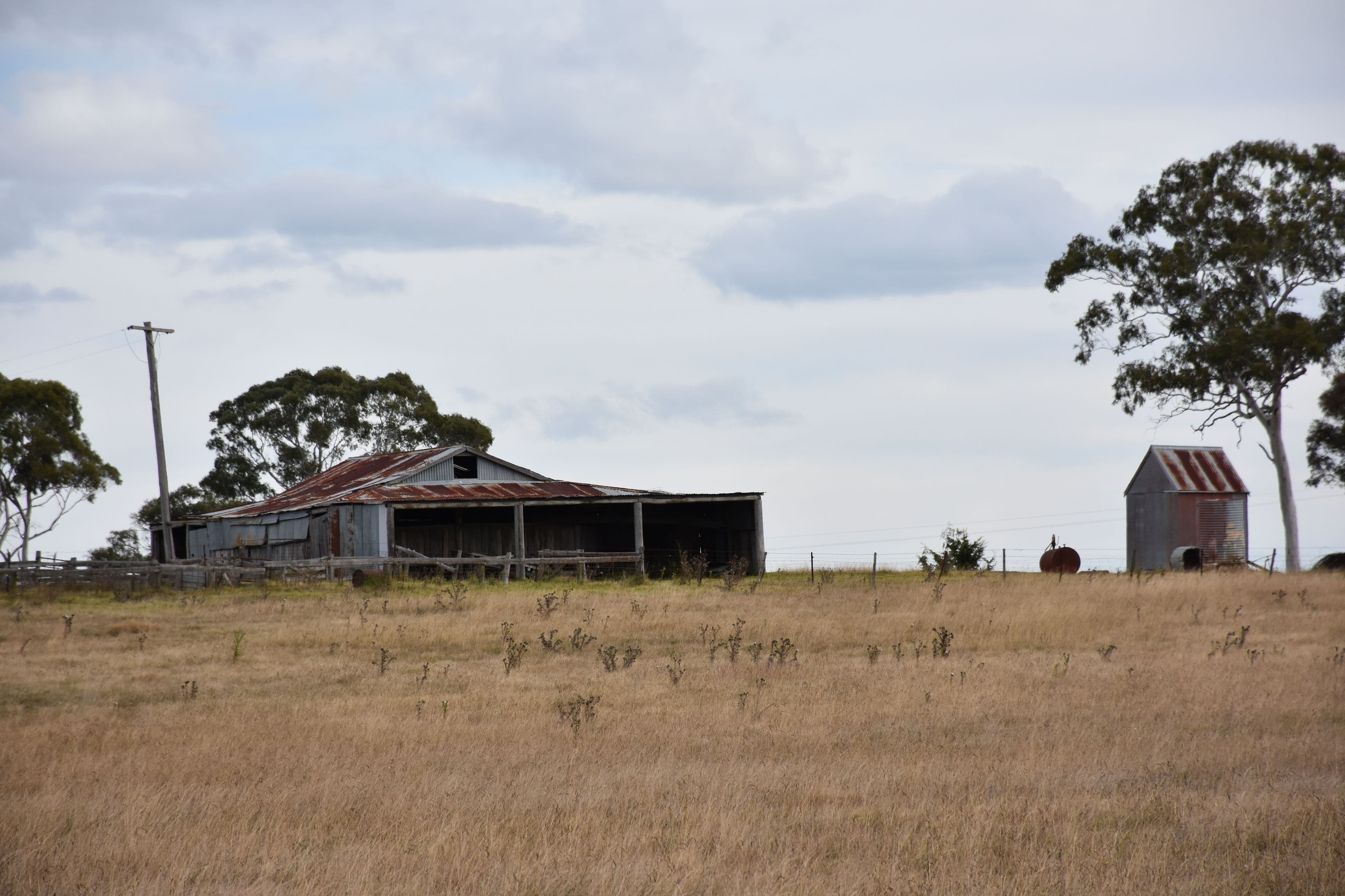 1325 Red Range Road, Glen Innes NSW 2370, Glen Innes - Thumbnail 6