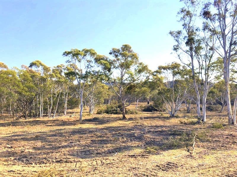 507 Little Bombay Road, Braidwood NSW 2622, Braidwood - Thumbnail 5