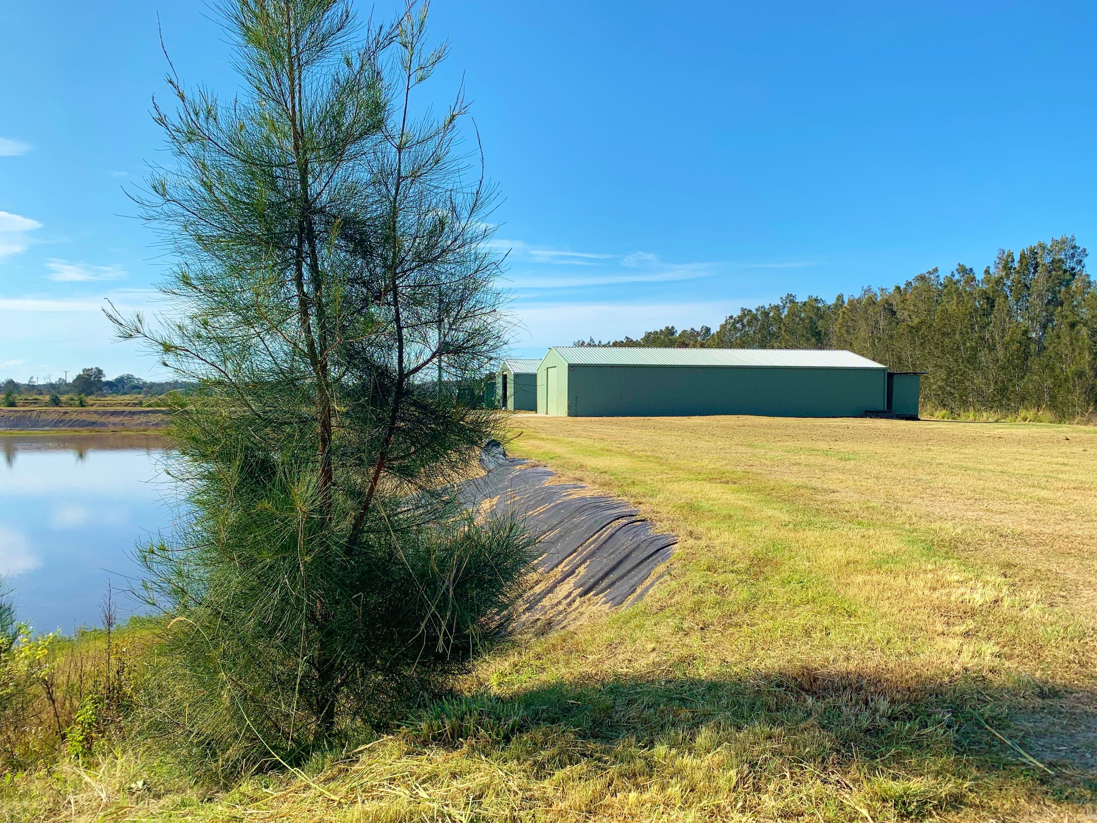 Palmers Island NSW 2463, Palmers Island - Image 1