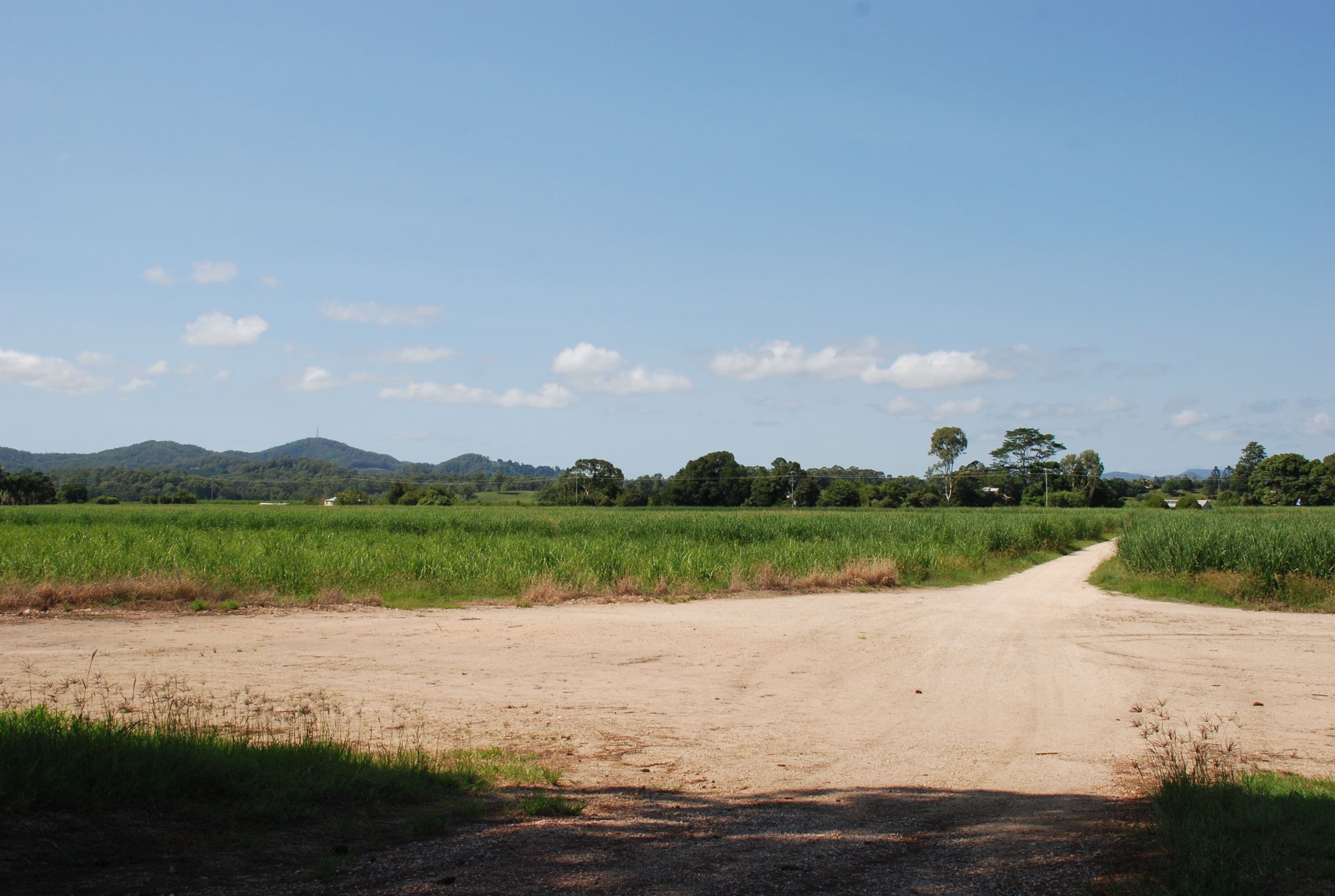 163 Reserve Creek Road, South Murwillumbah NSW 2484, South Murwillumbah - Thumbnail 3