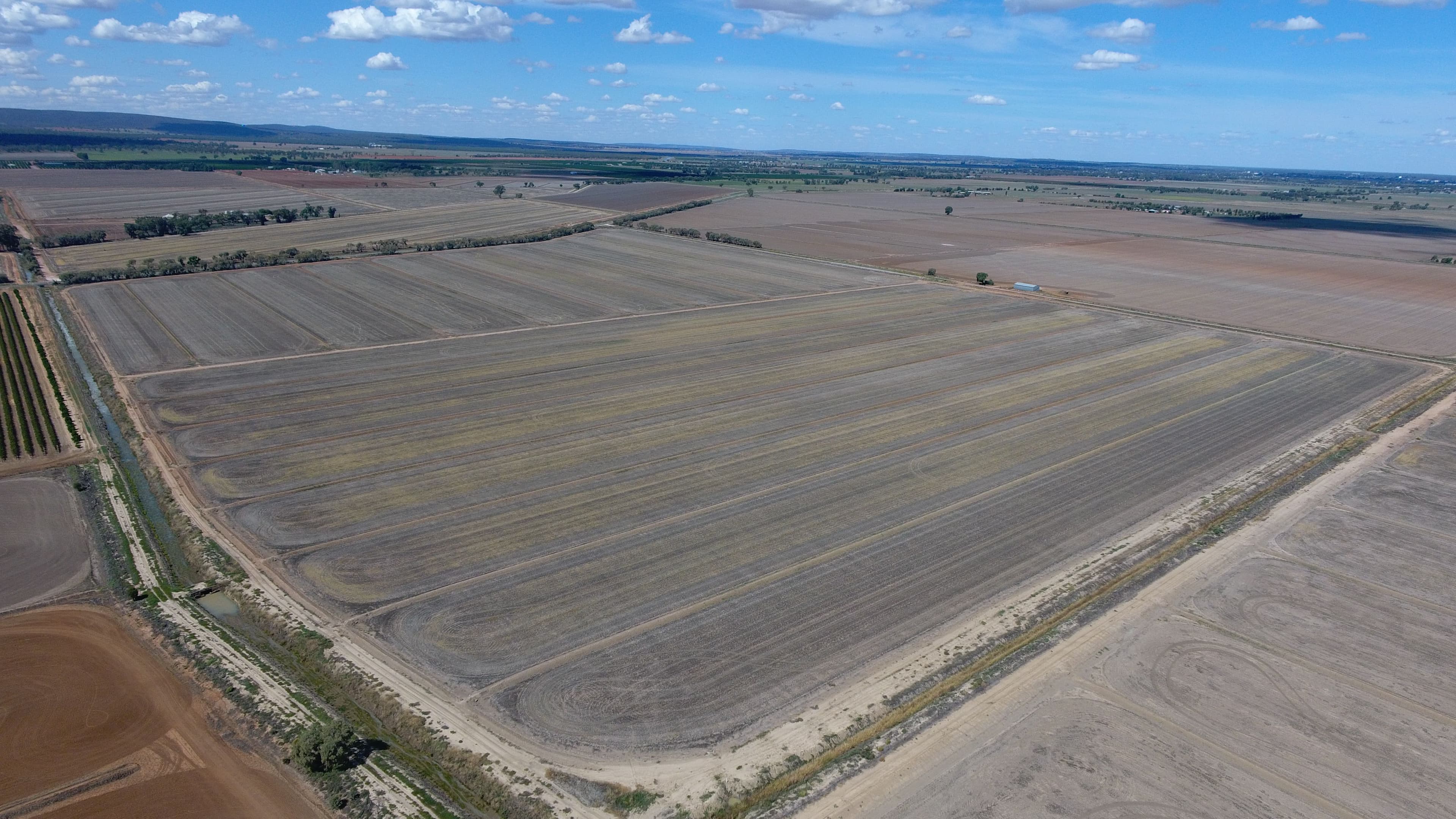 166 Collins Road, Leeton NSW 2705, Leeton - Thumbnail 4