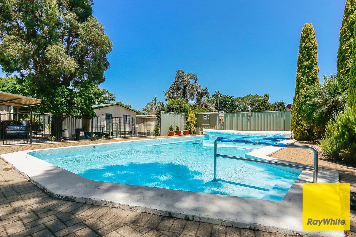 351 Hawtin Road, Forrestfield WA 6058, Forrestfield - Thumbnail 3