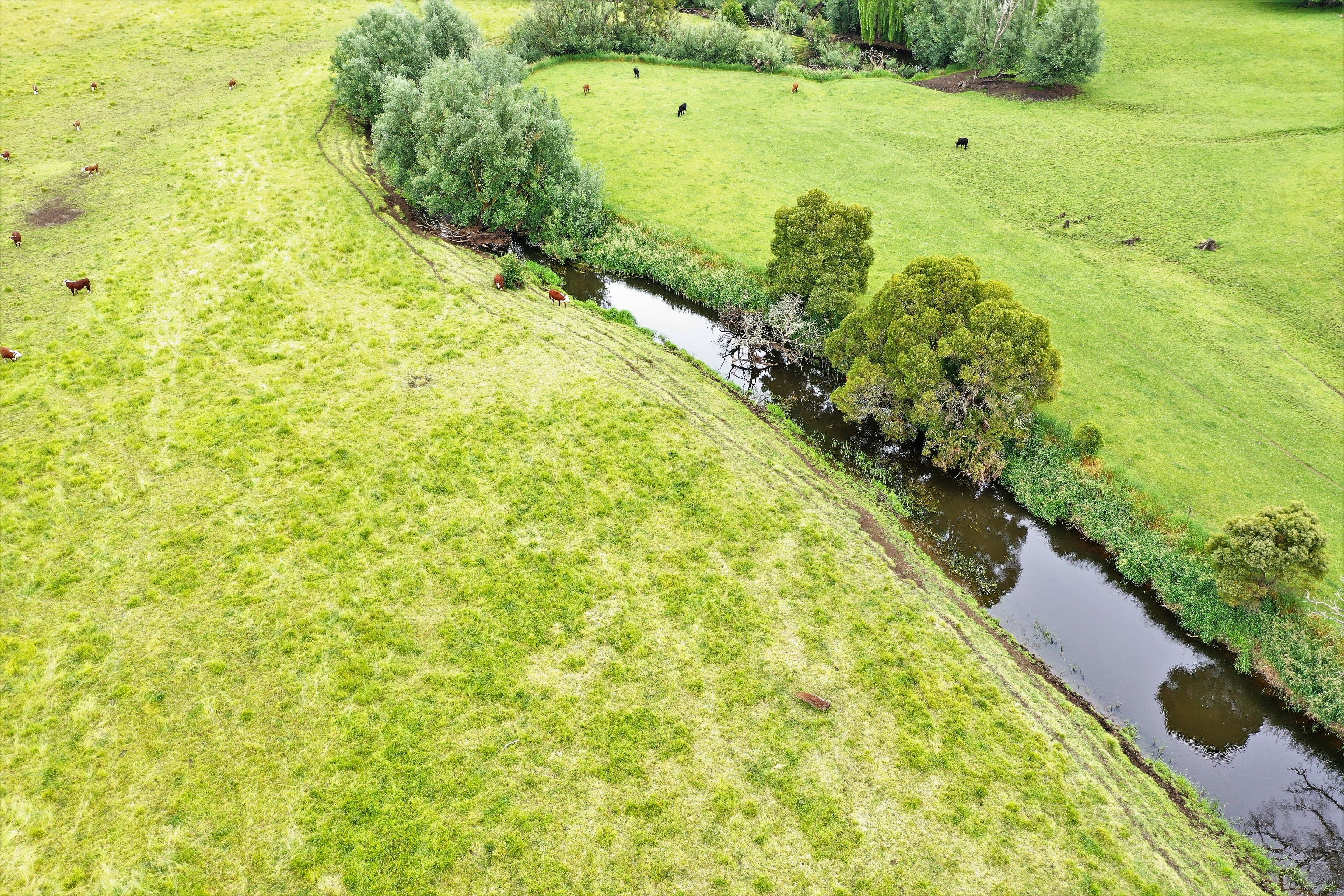 210 Timboon - Nullawarre Road, Timboon VIC 3268, Timboon - Thumbnail 6