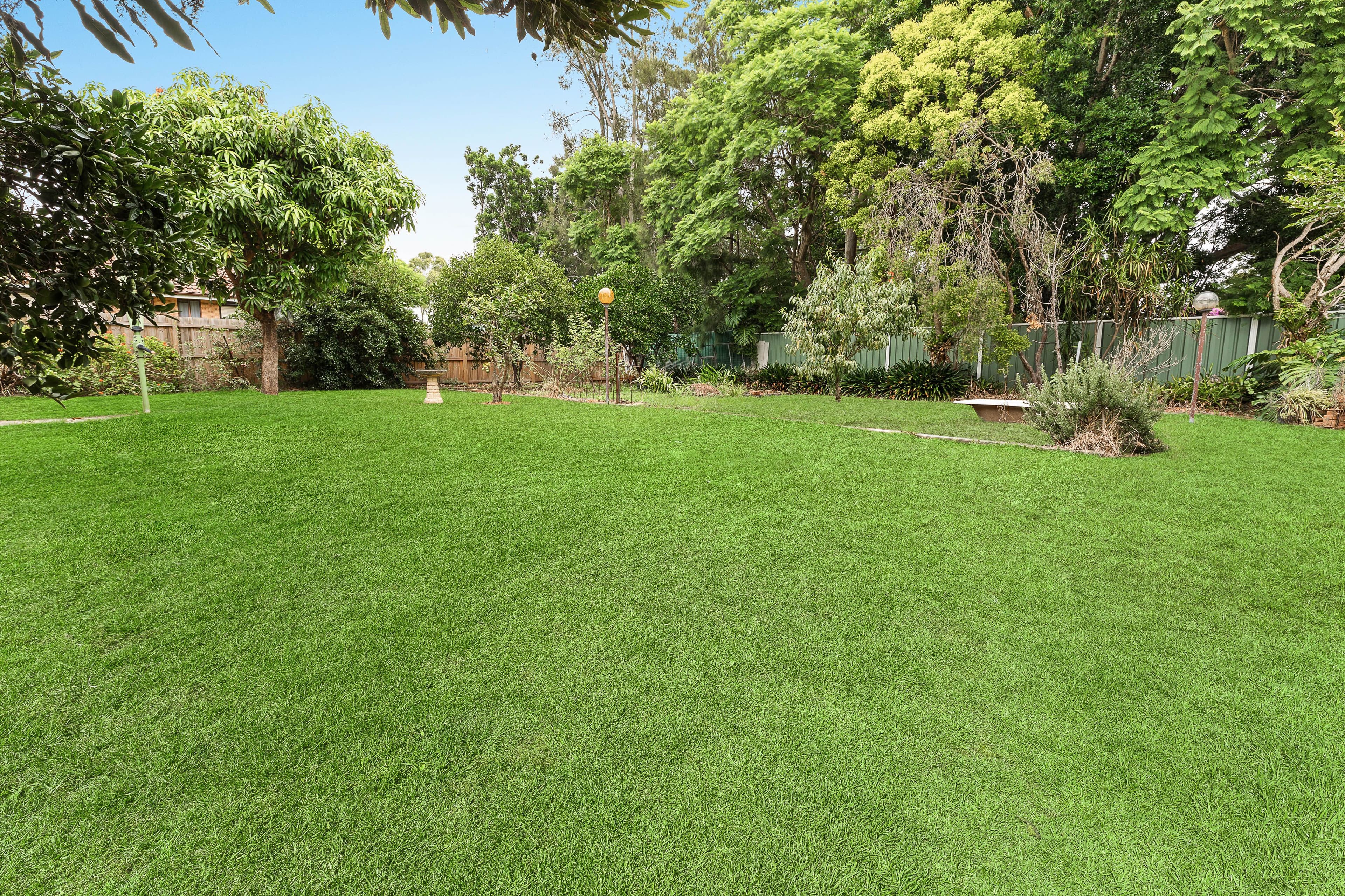 12 Frances Road, Putney - Thumbnail 8