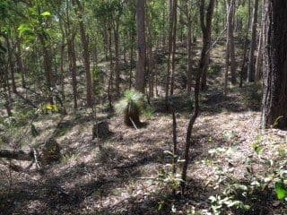 187 McKey Road, Crossdale QLD 4312, Crossdale - Thumbnail 4