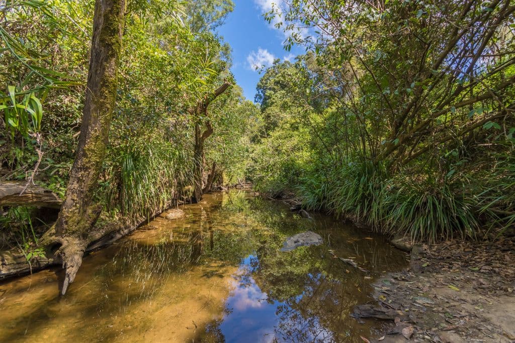 15 Felchow Court, Wamuran QLD 4512, Wamuran - Thumbnail 4
