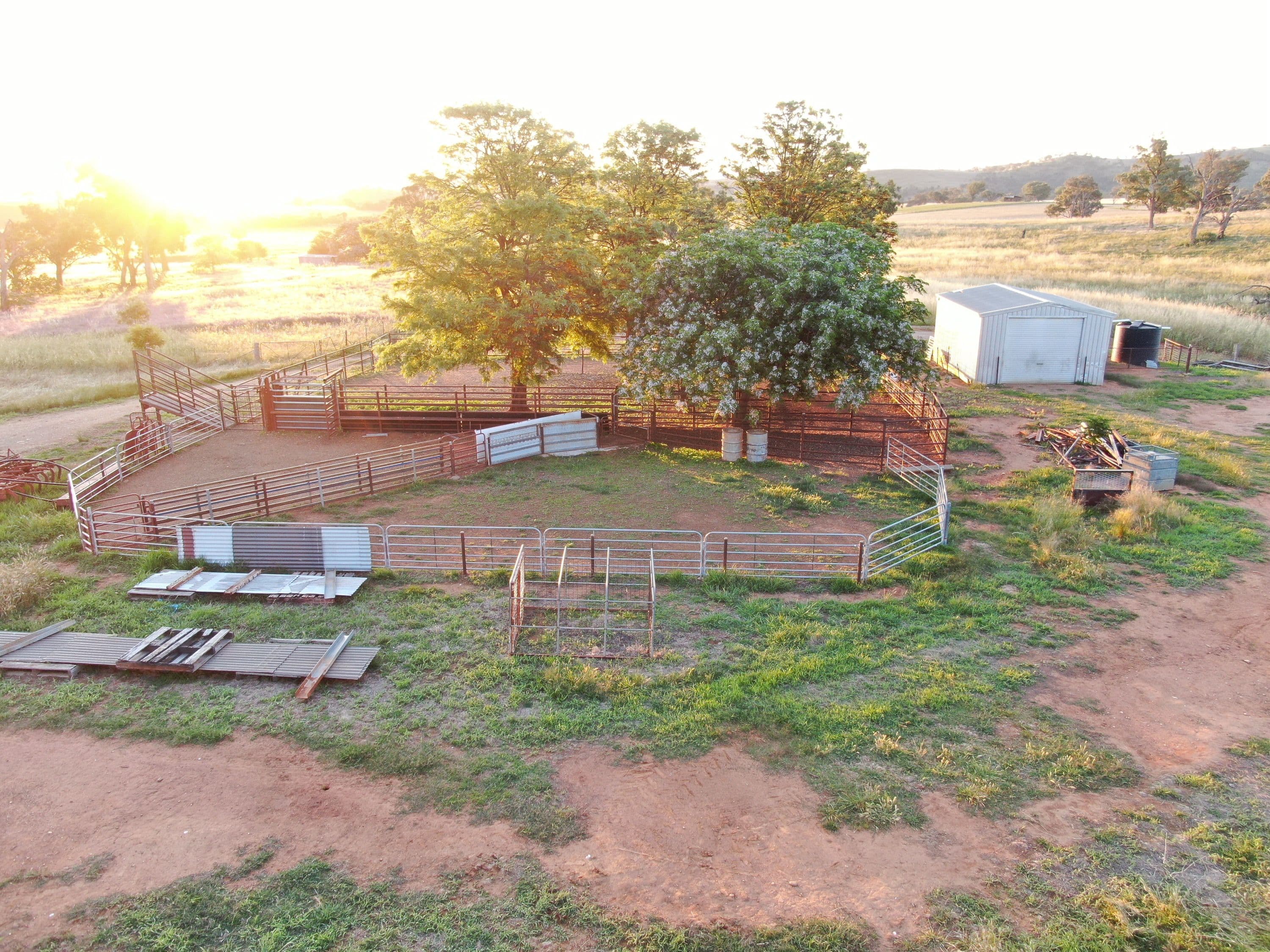 5 Oakhills Road (Nangus), Gundagai NSW 2722, Gundagai - Thumbnail 8