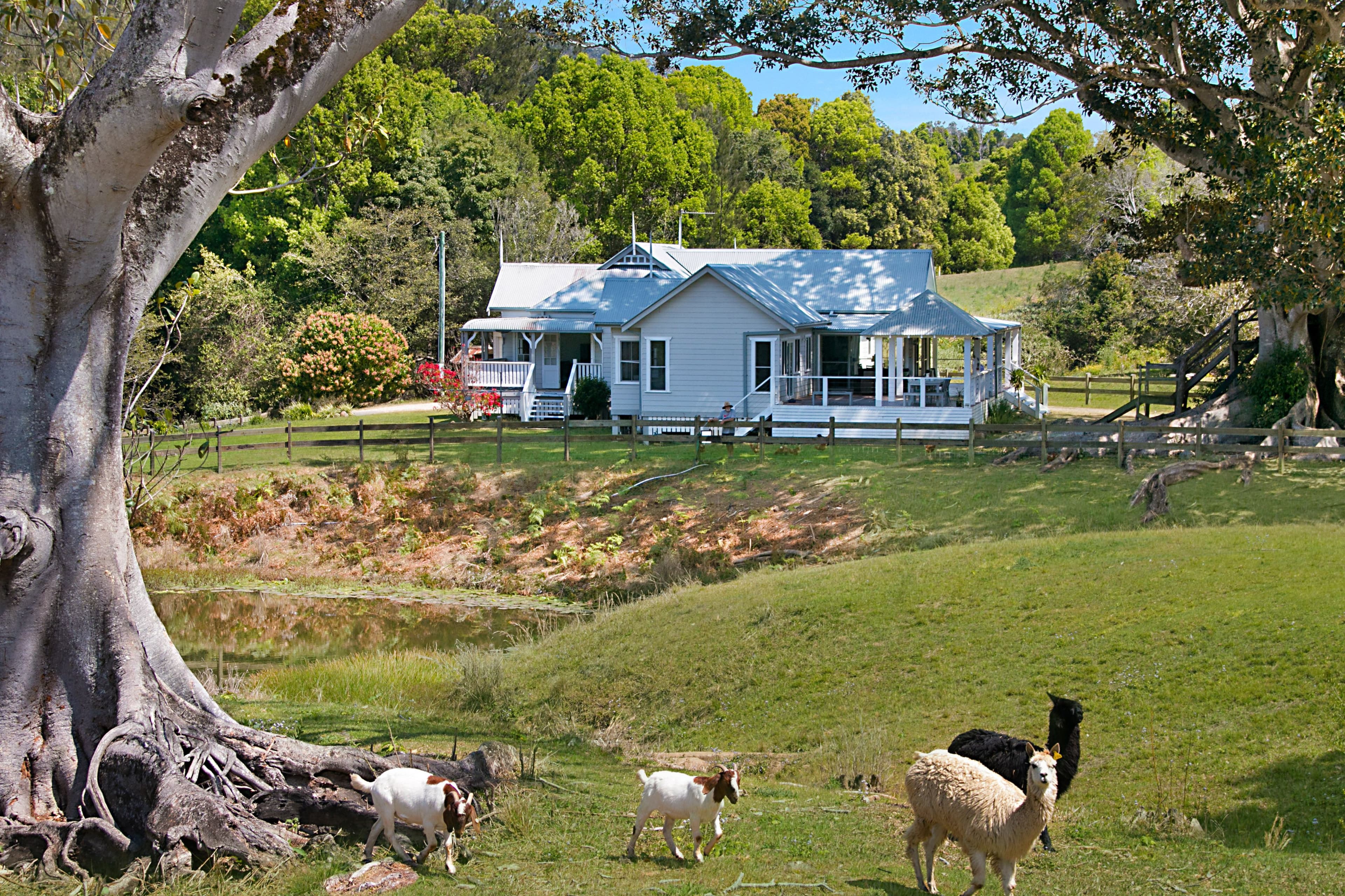 1874 Kyogle Road, Uki NSW 2484, Uki - Thumbnail 2