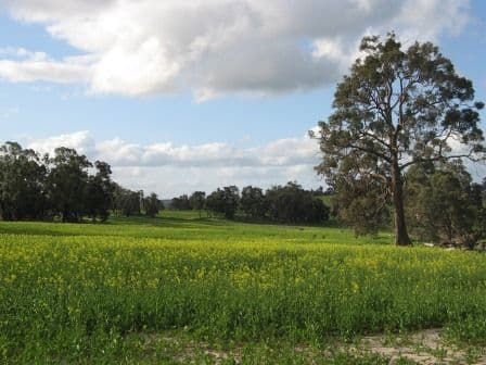 Pipeline Lot 2 Collie-Williams Road, West Williams, Williams WA 6391, Williams - Thumbnail 4
