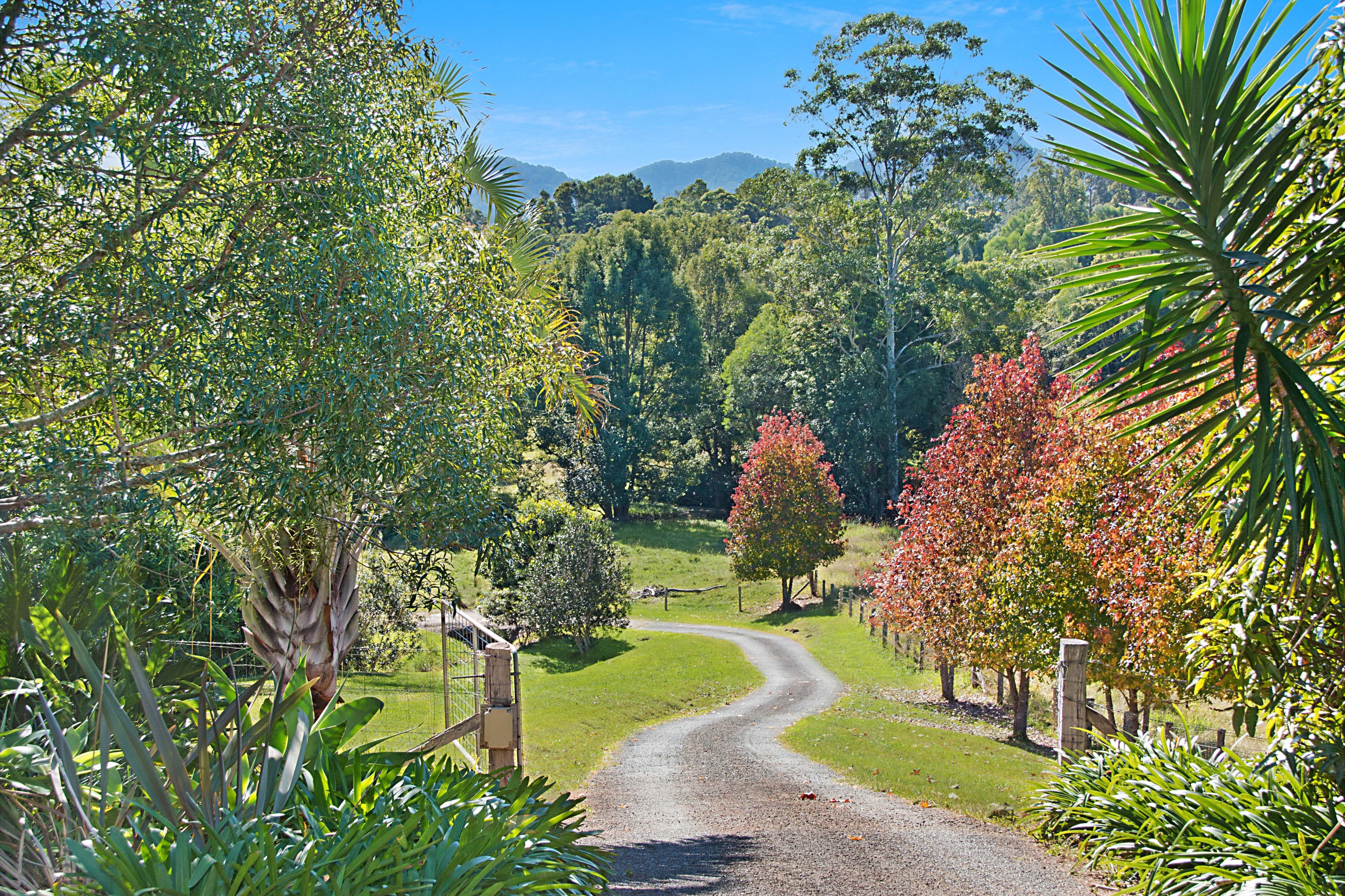 335 Chilcotts Road, Chillingham NSW 2484, Chillingham - Thumbnail 2