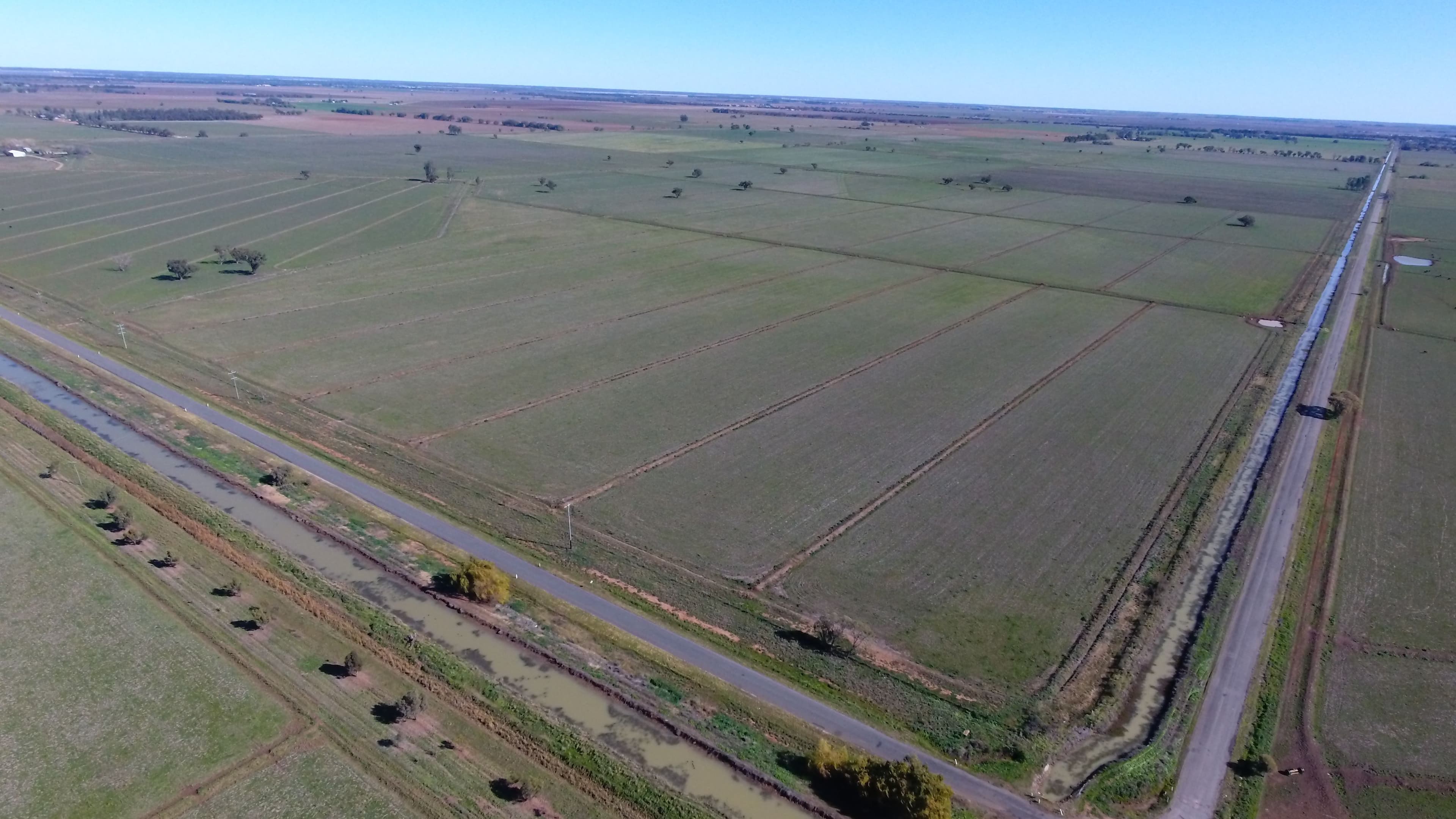539 Mount Harris Road, Murrami NSW 2705, Murrami - Thumbnail 2