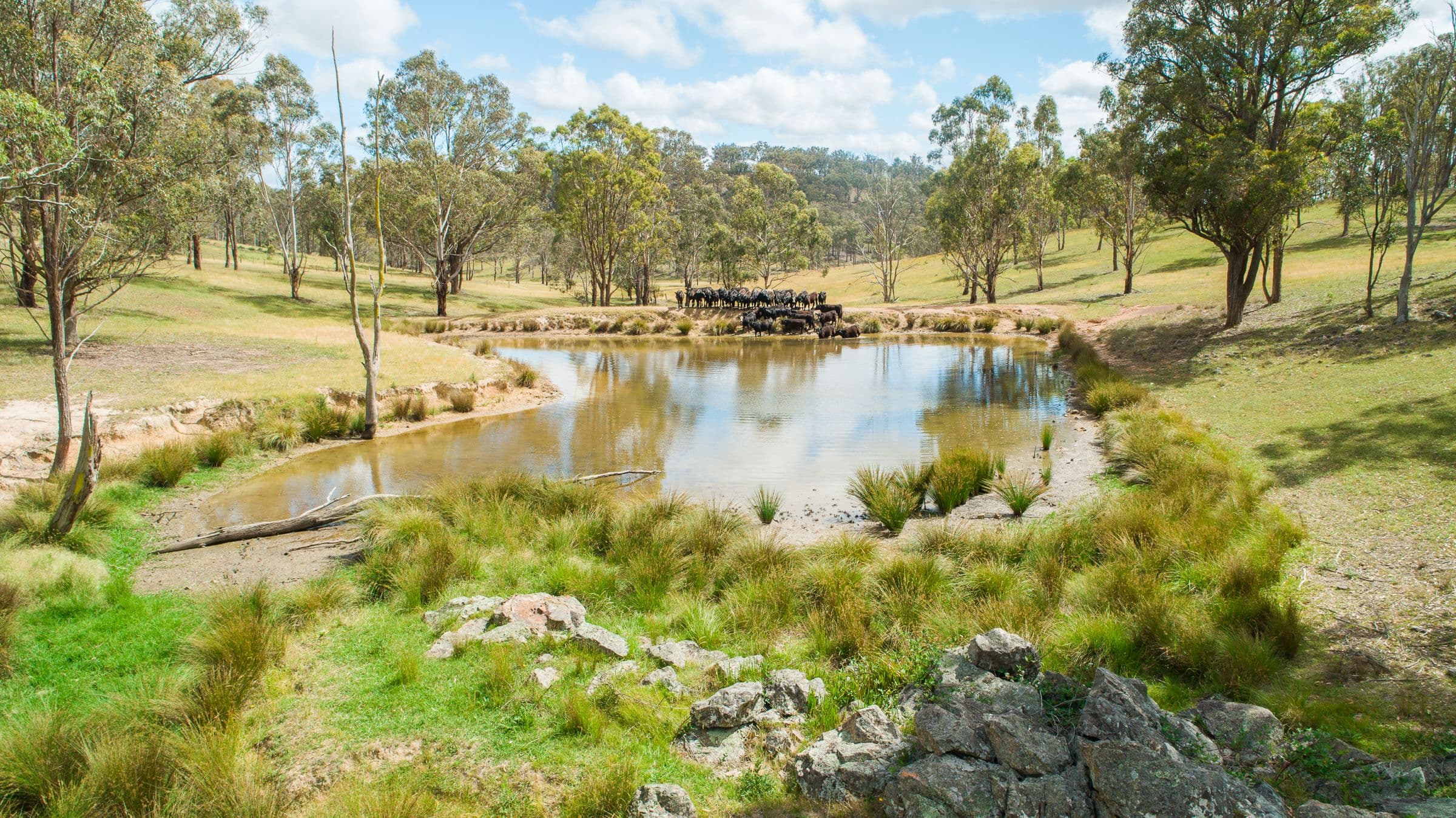 511 Long Swamp Road, Armidale NSW 2350, Armidale - Thumbnail 5