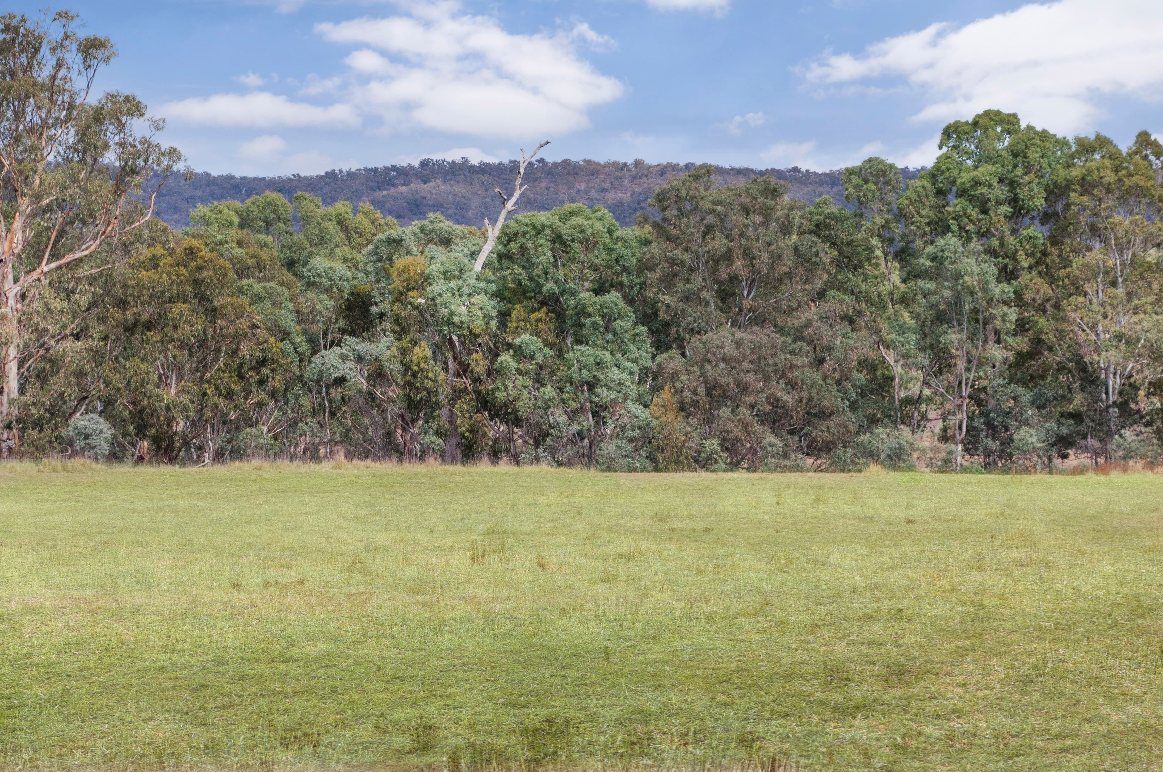 Lot 1 Sunraysia Highway, REDBANK  Victoria  3477, Australia, Redbank - Thumbnail 7