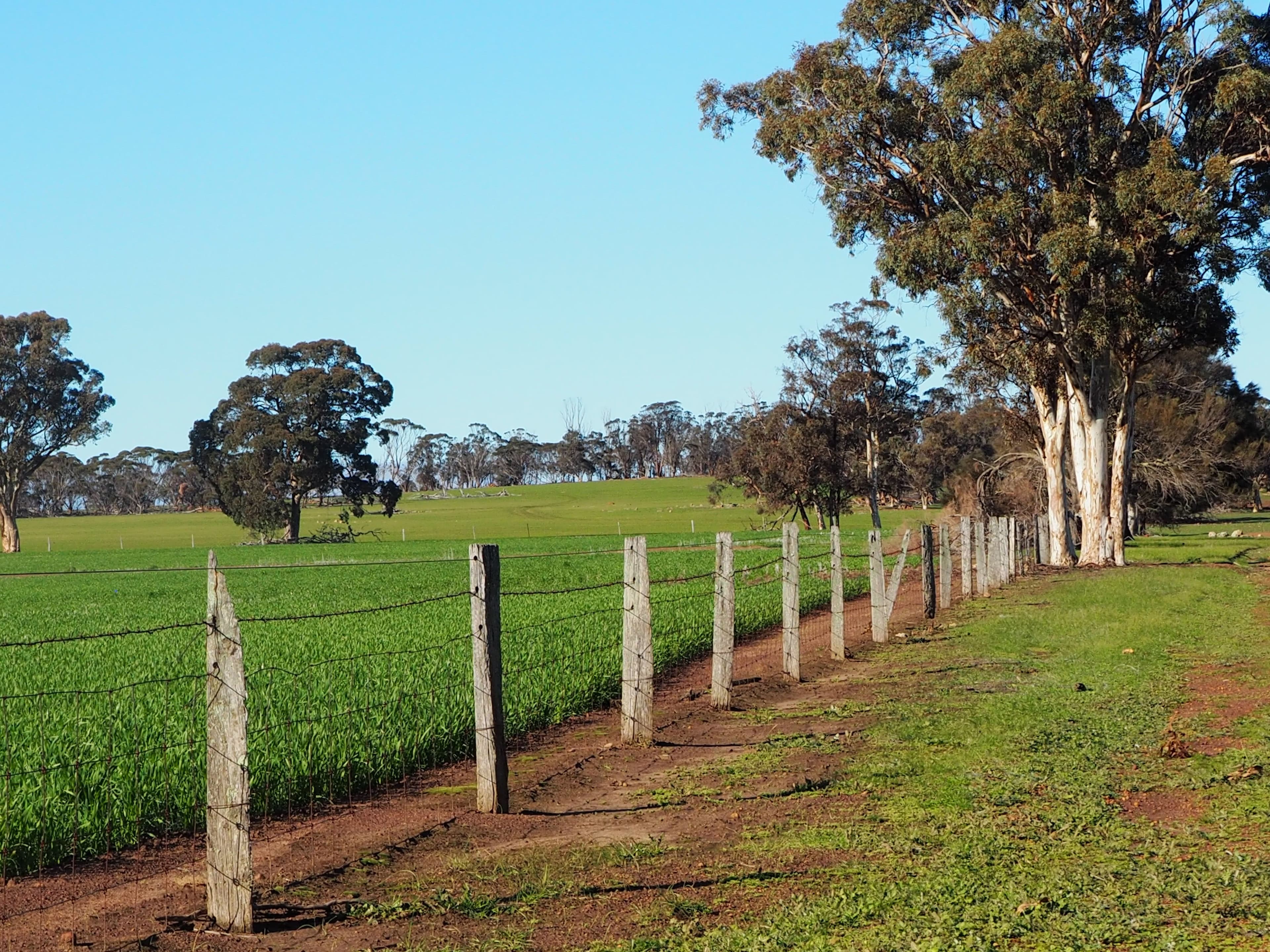 Somerset 359 Jam Creek Road, Tambellup WA 6320, Tambellup - Thumbnail 6