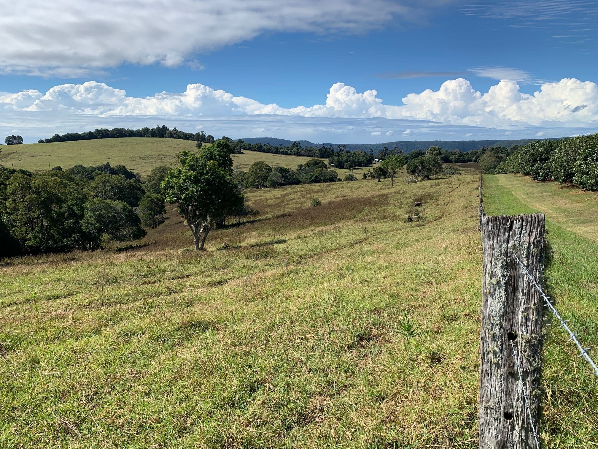 360 Binna Burra Road, Beechmont QLD 4211, Beechmont - Thumbnail 8
