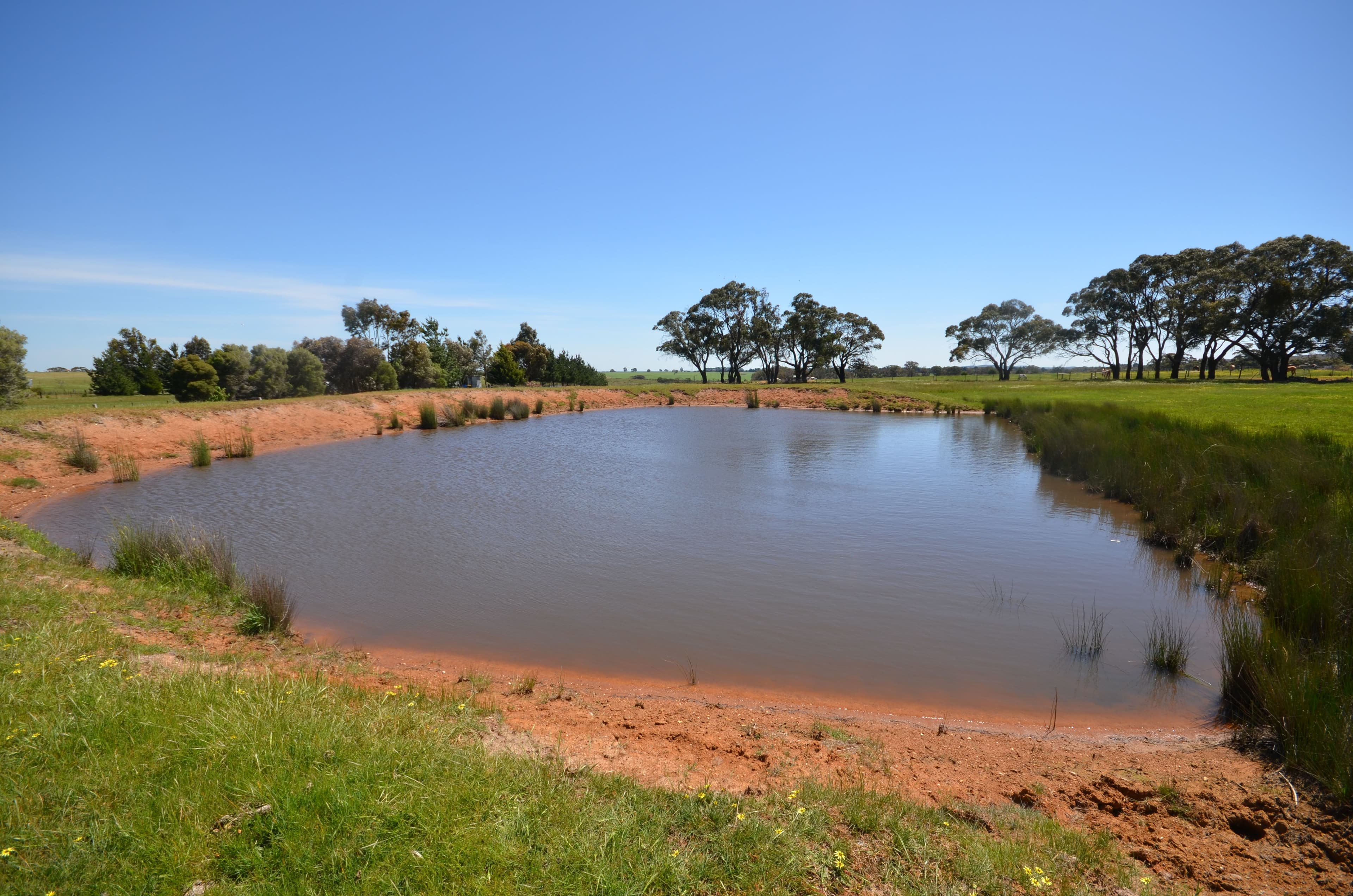 CA 1 Berringa Road, Berringa  Victoria  3351, Australia, Berringa - Image 1
