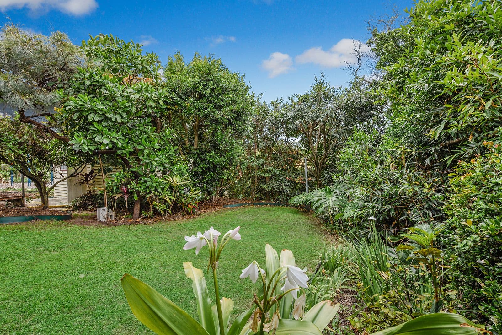 121 Jerrang Street, Indooroopilly QLD 4068, Indooroopilly - Thumbnail 4